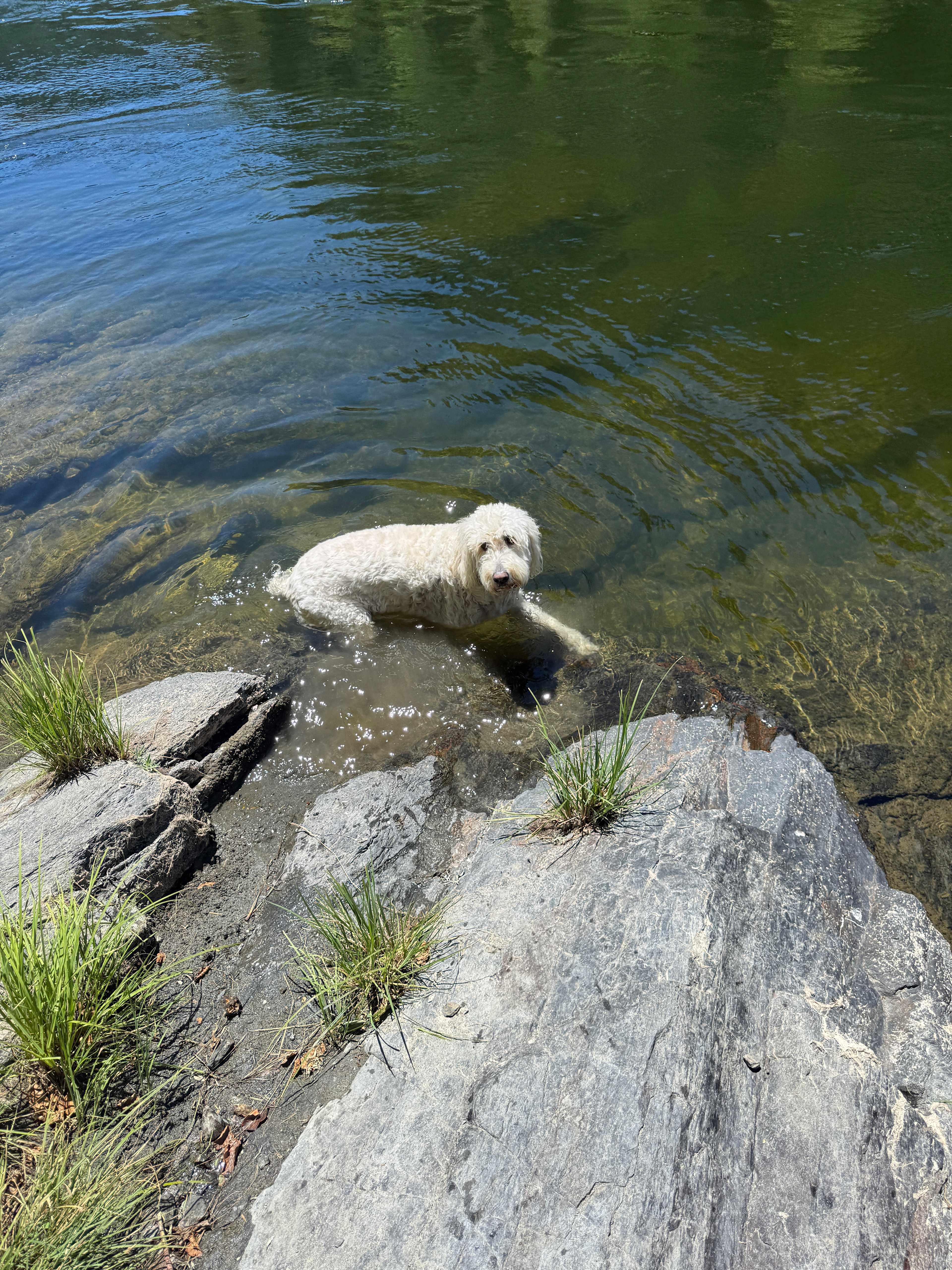 Klamath River Village: Riverfront