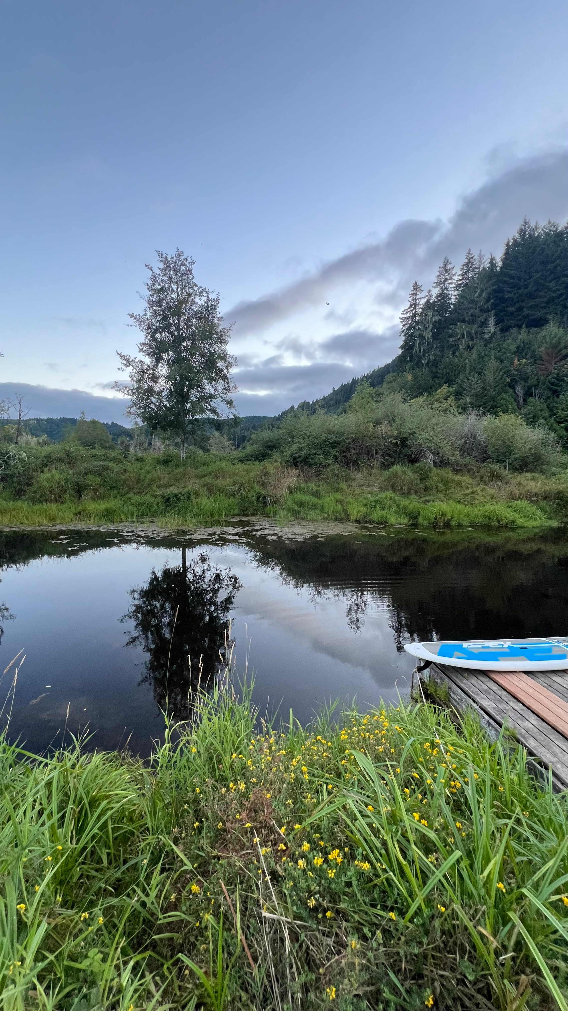 The Park at Loon Lake