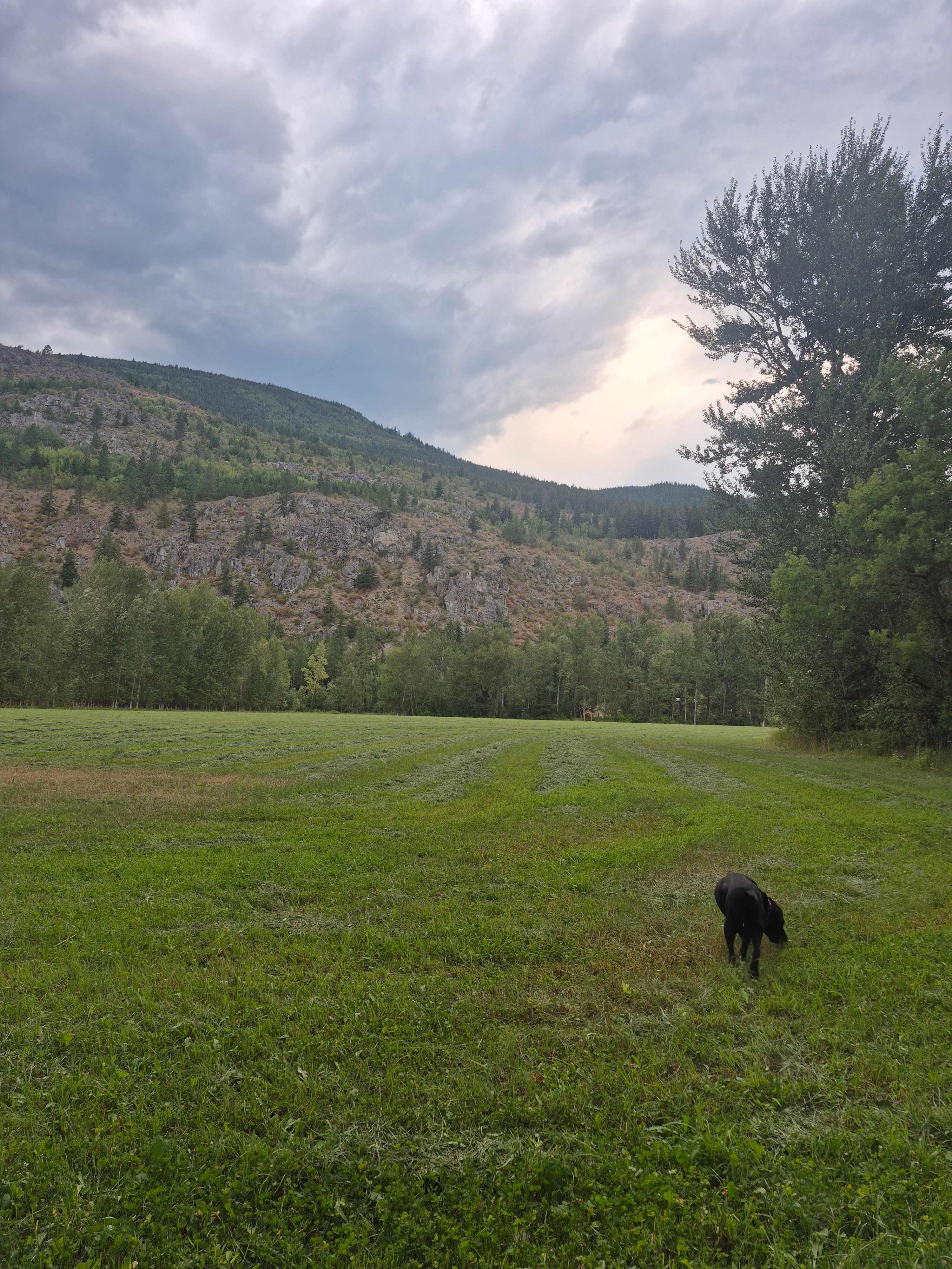 A piece of the salmon valley