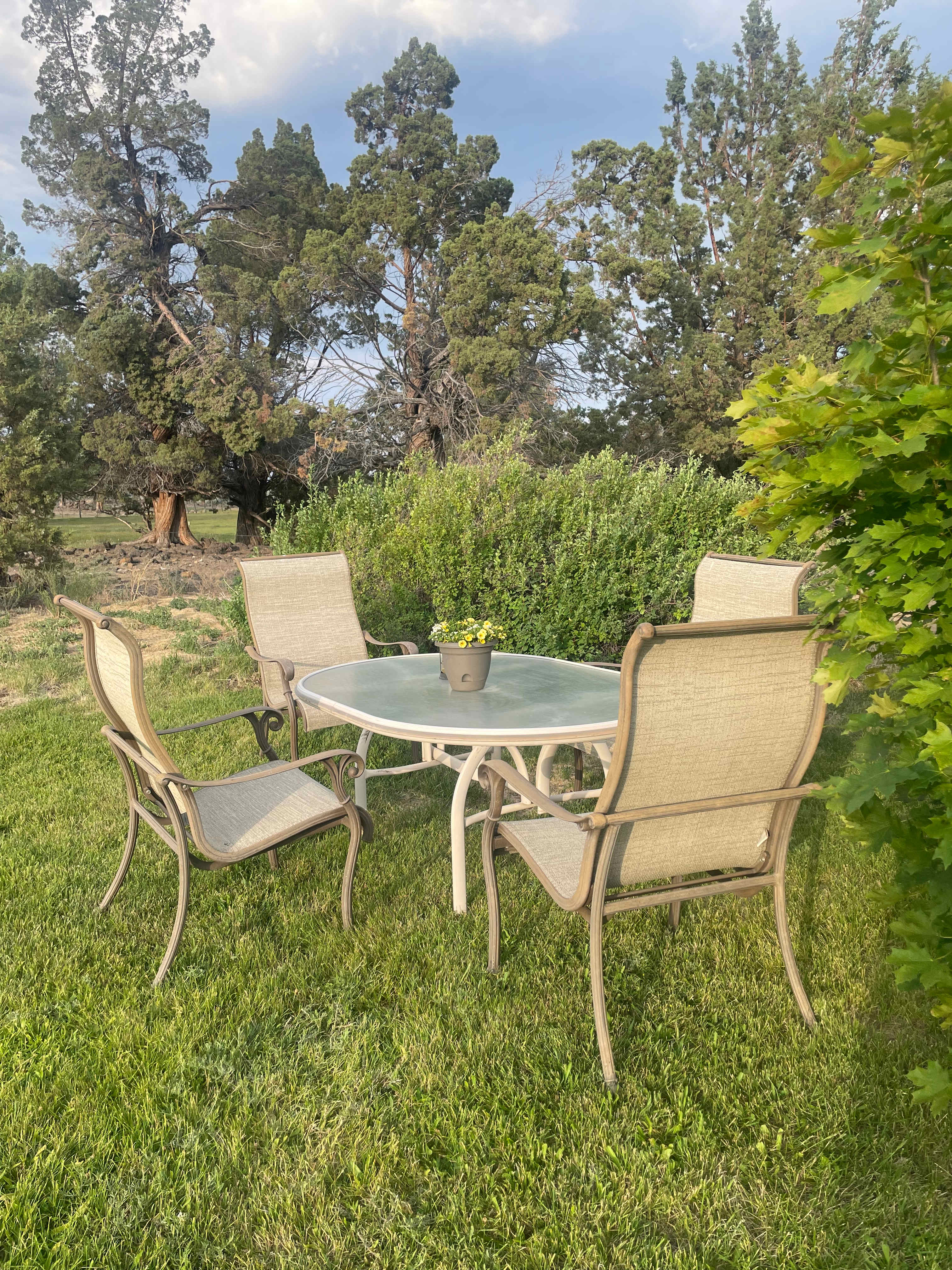 Working Ranch just outside Bend