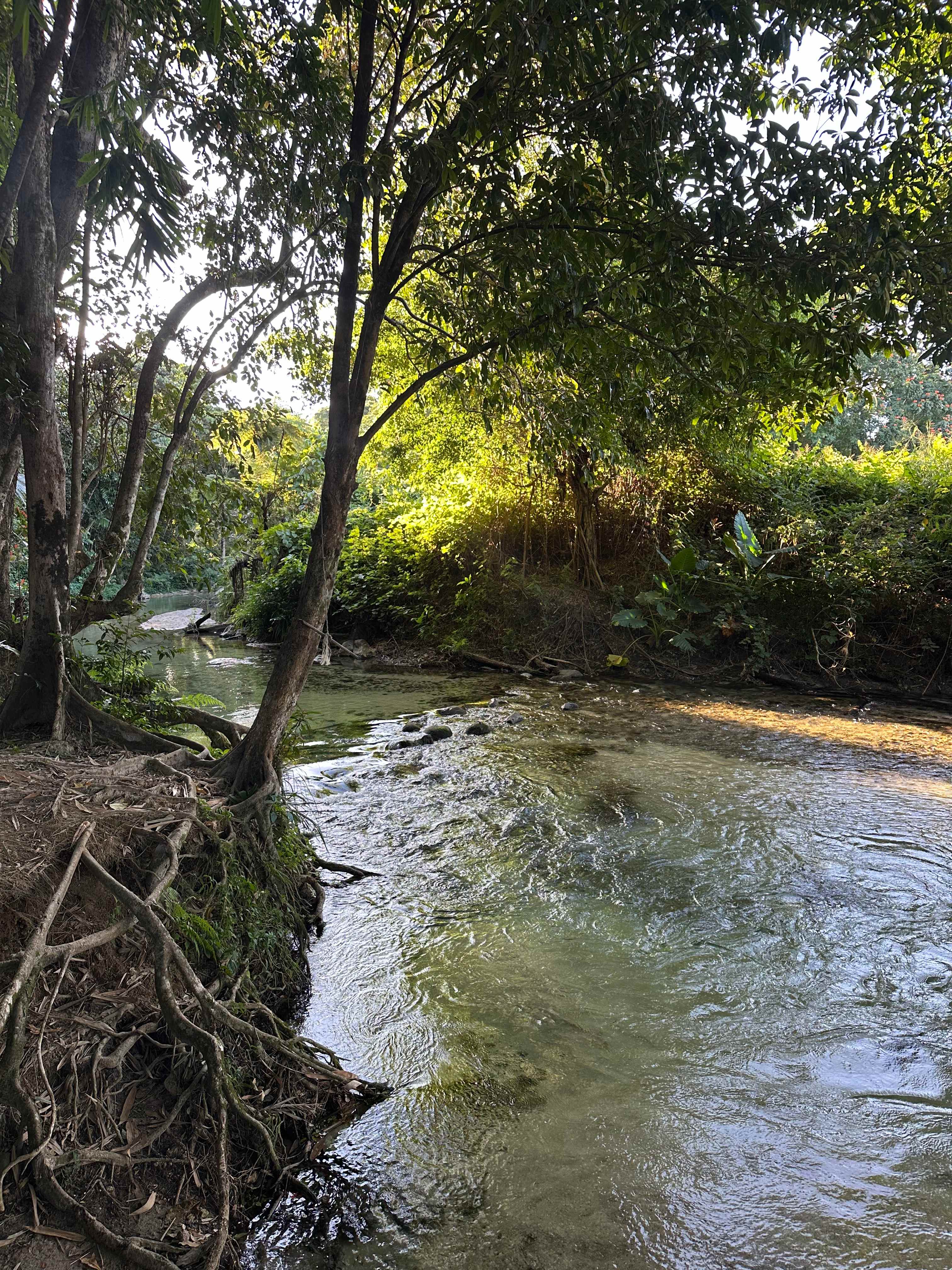 Paradise Camps