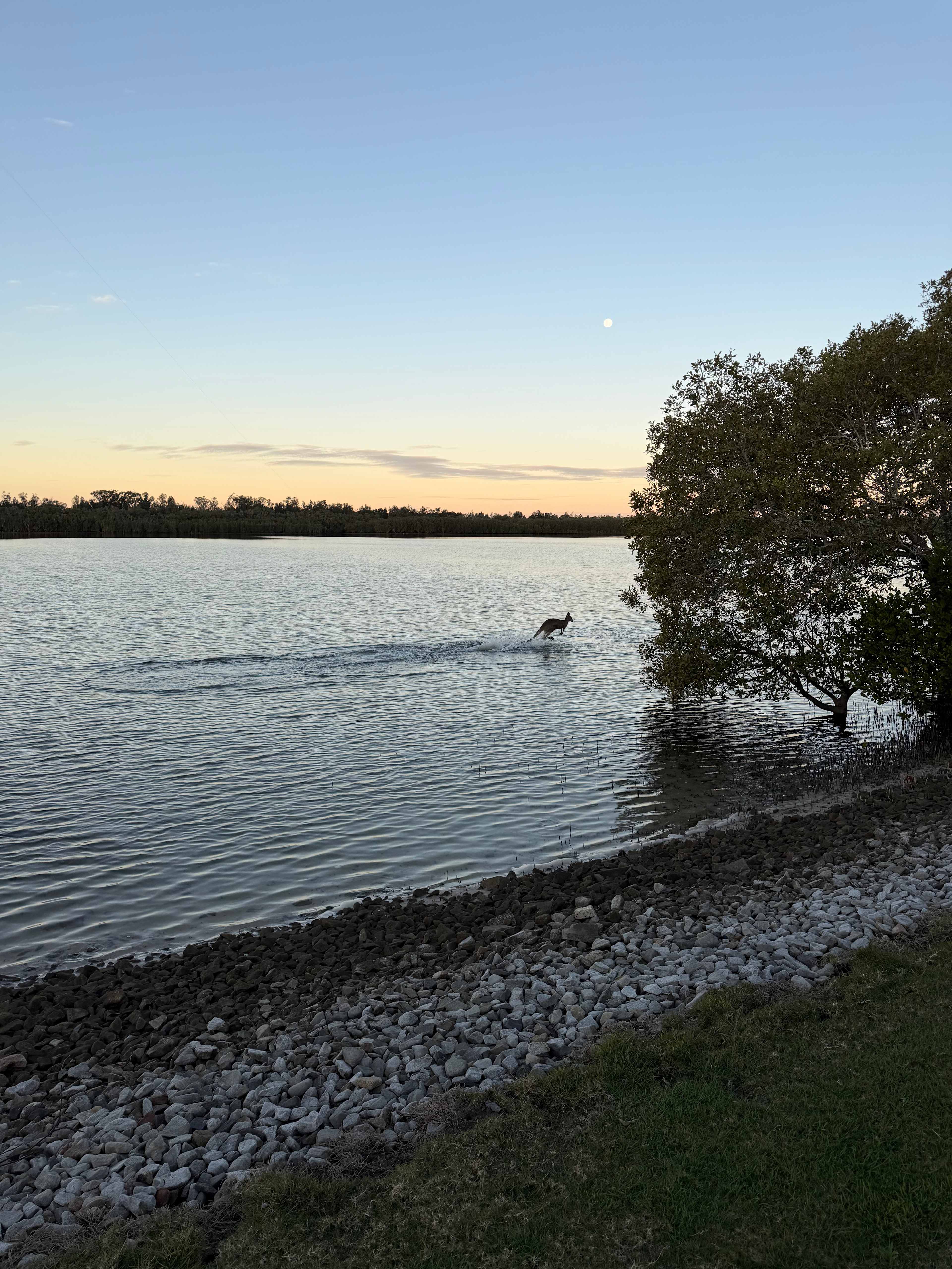 Riverside Rest