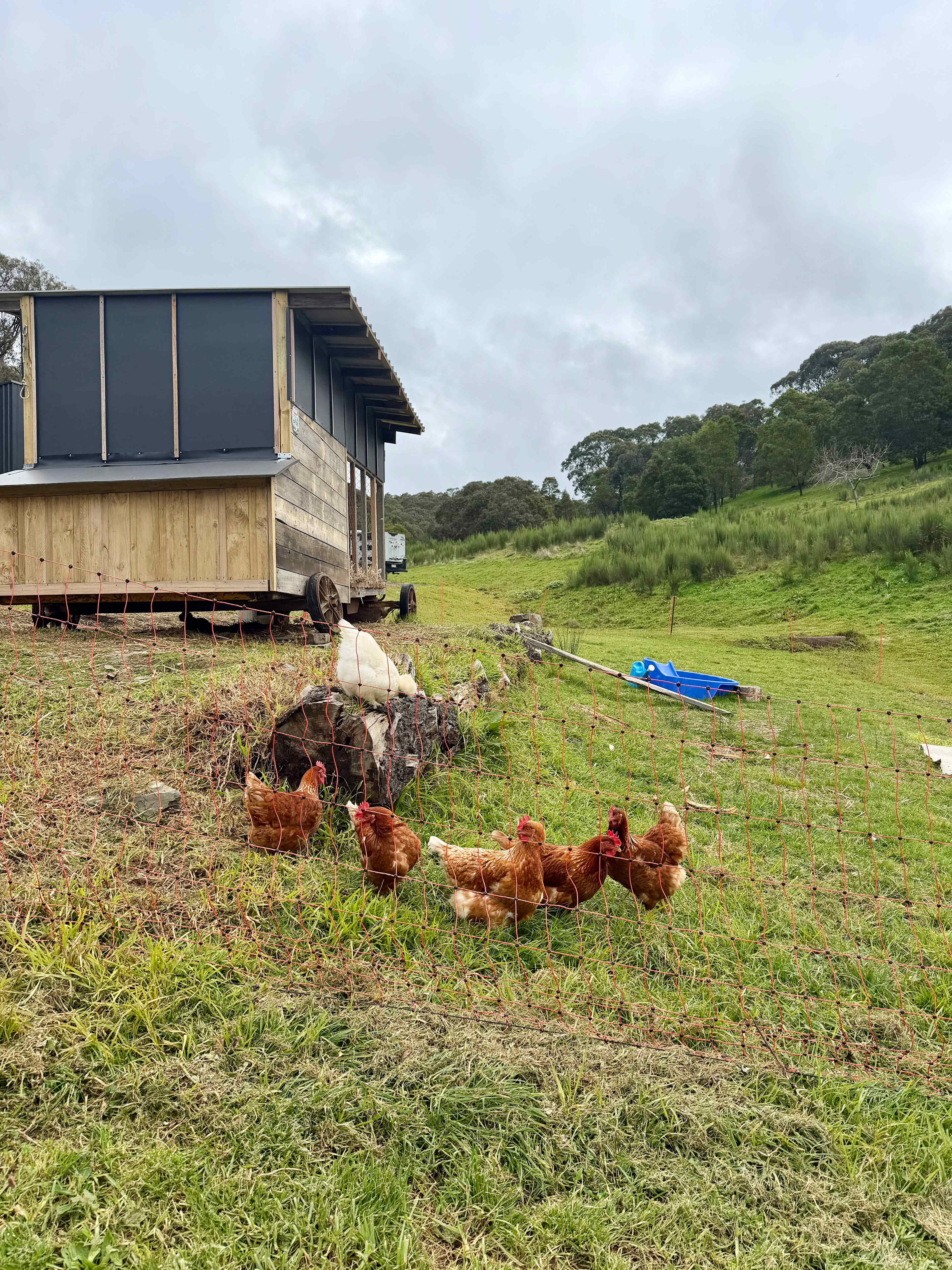 R&R Off-Grid Cabin
