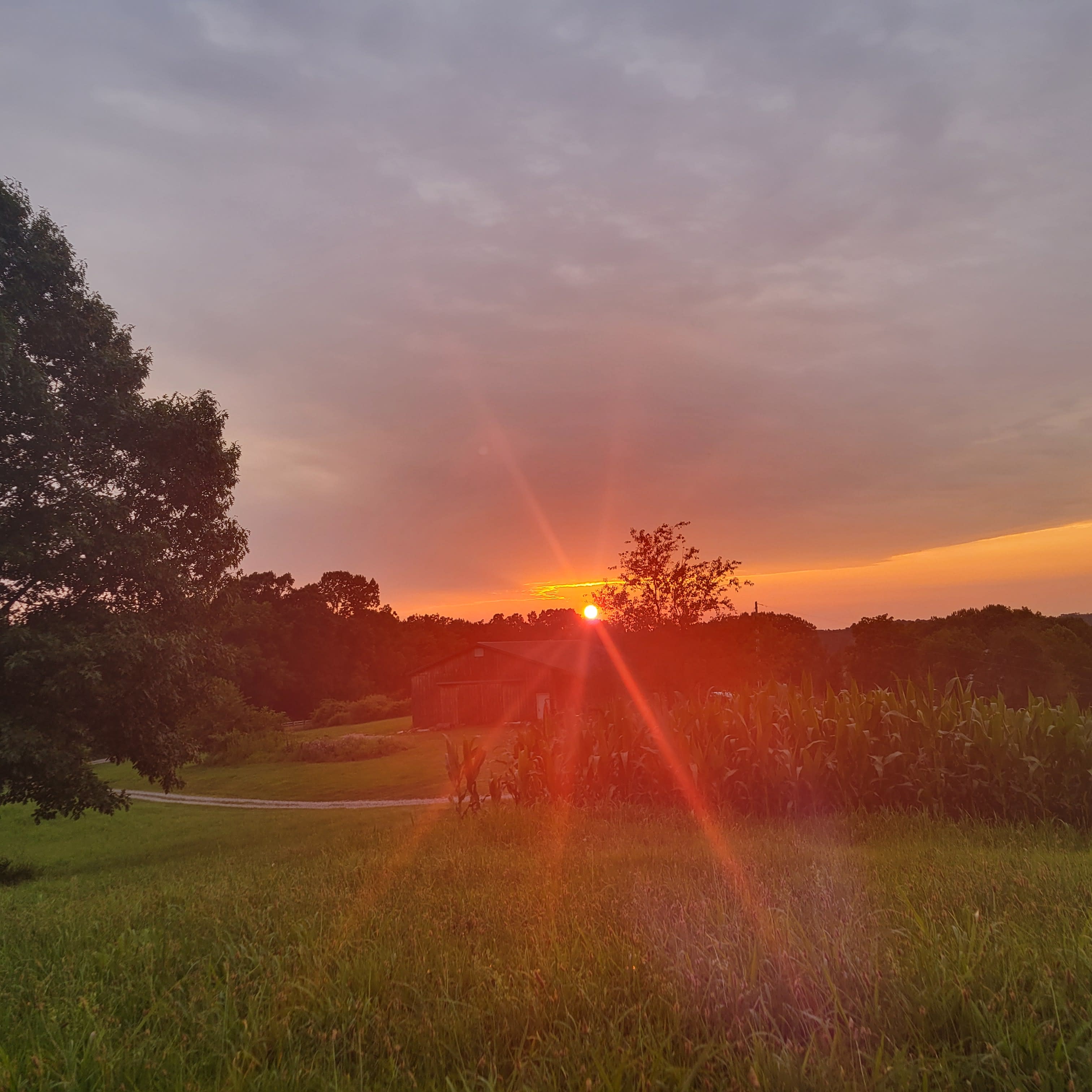 McKee Farm - Treehouses and Camping