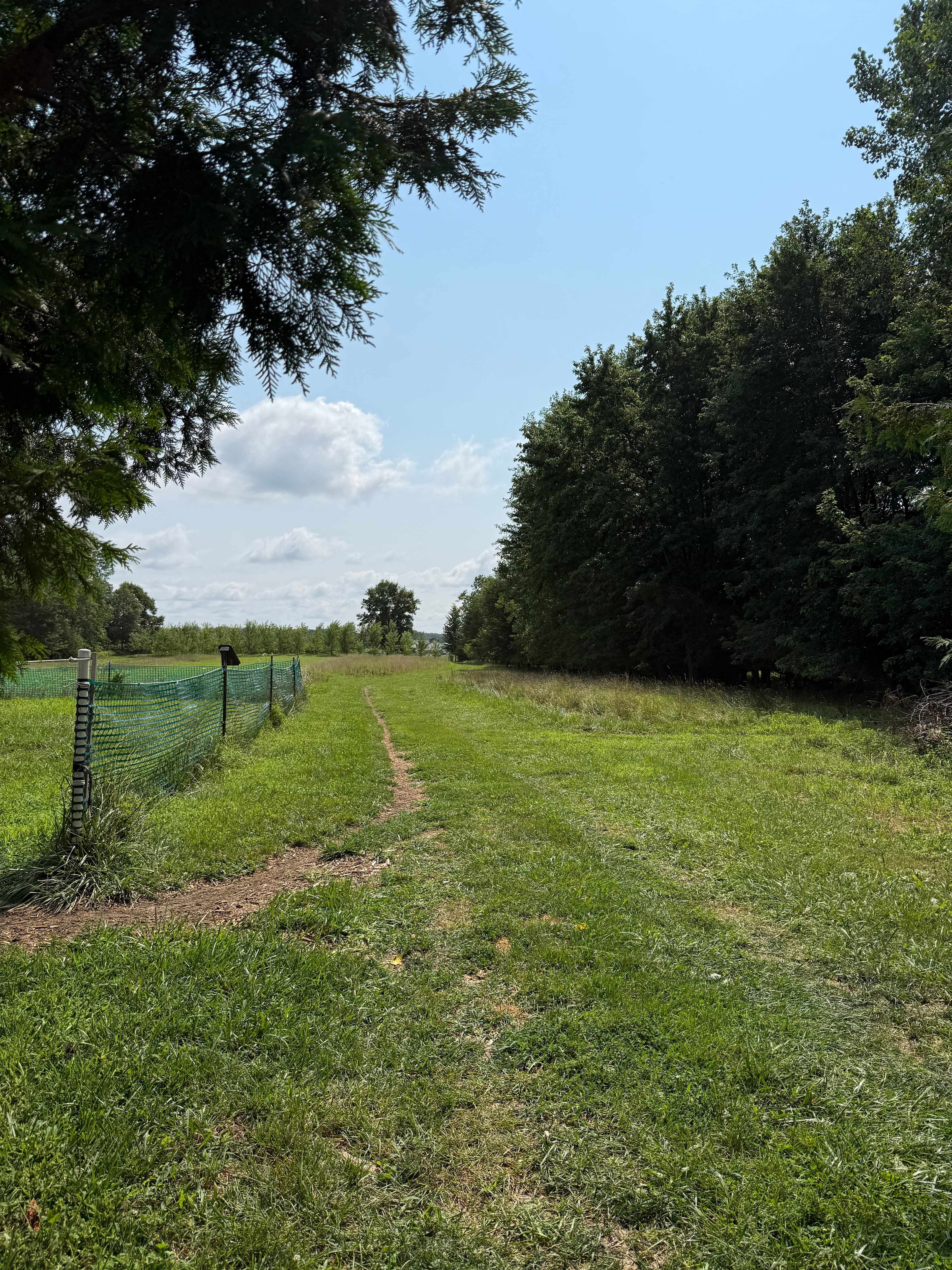 "Pasture Lane" Driving In Towards Campsites After Gate (Always Unlocked, But Stays Closed to Keep in Sheep!)