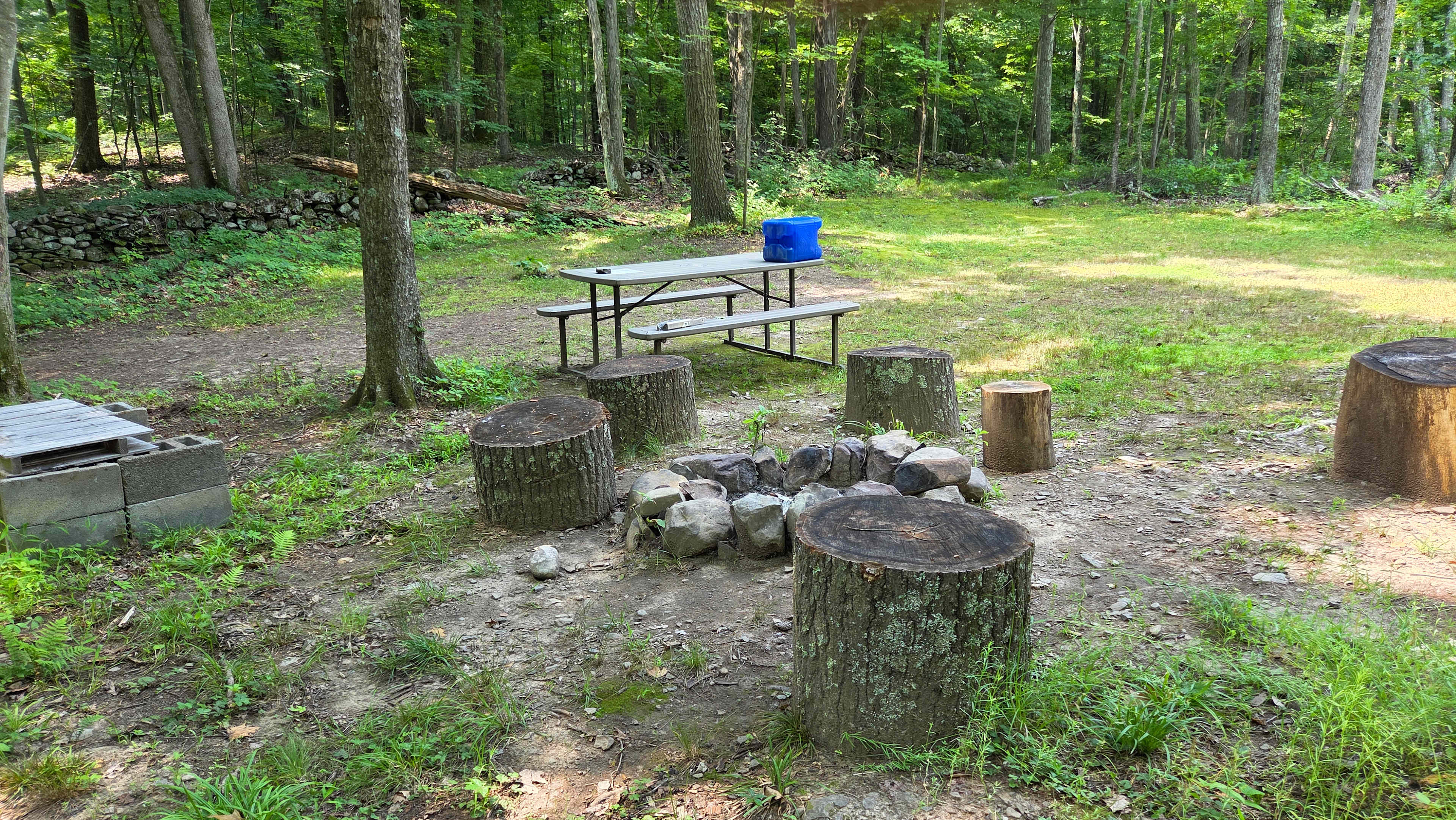 Picture of the site