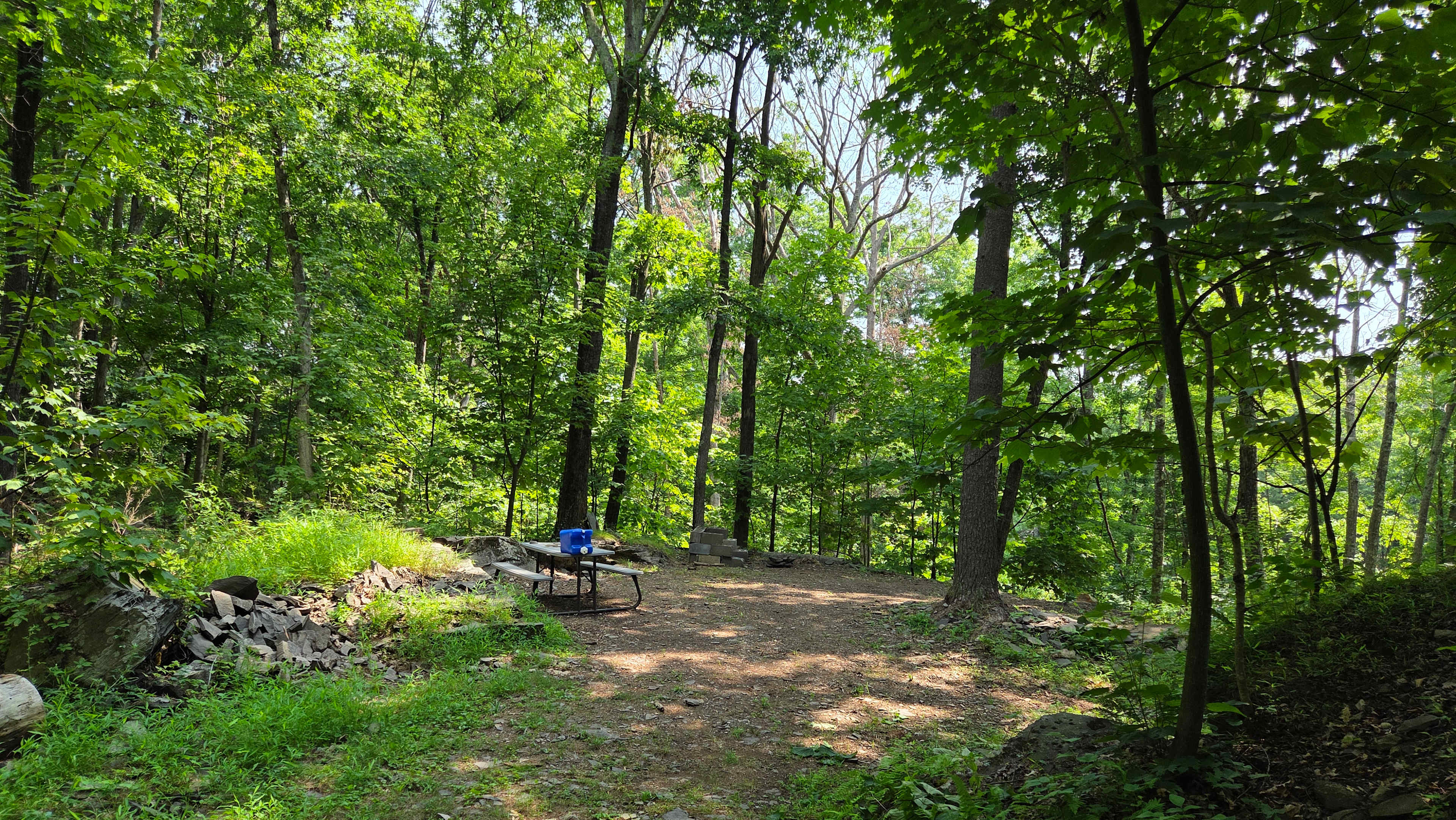 Peace And Quiet  in the Catskills