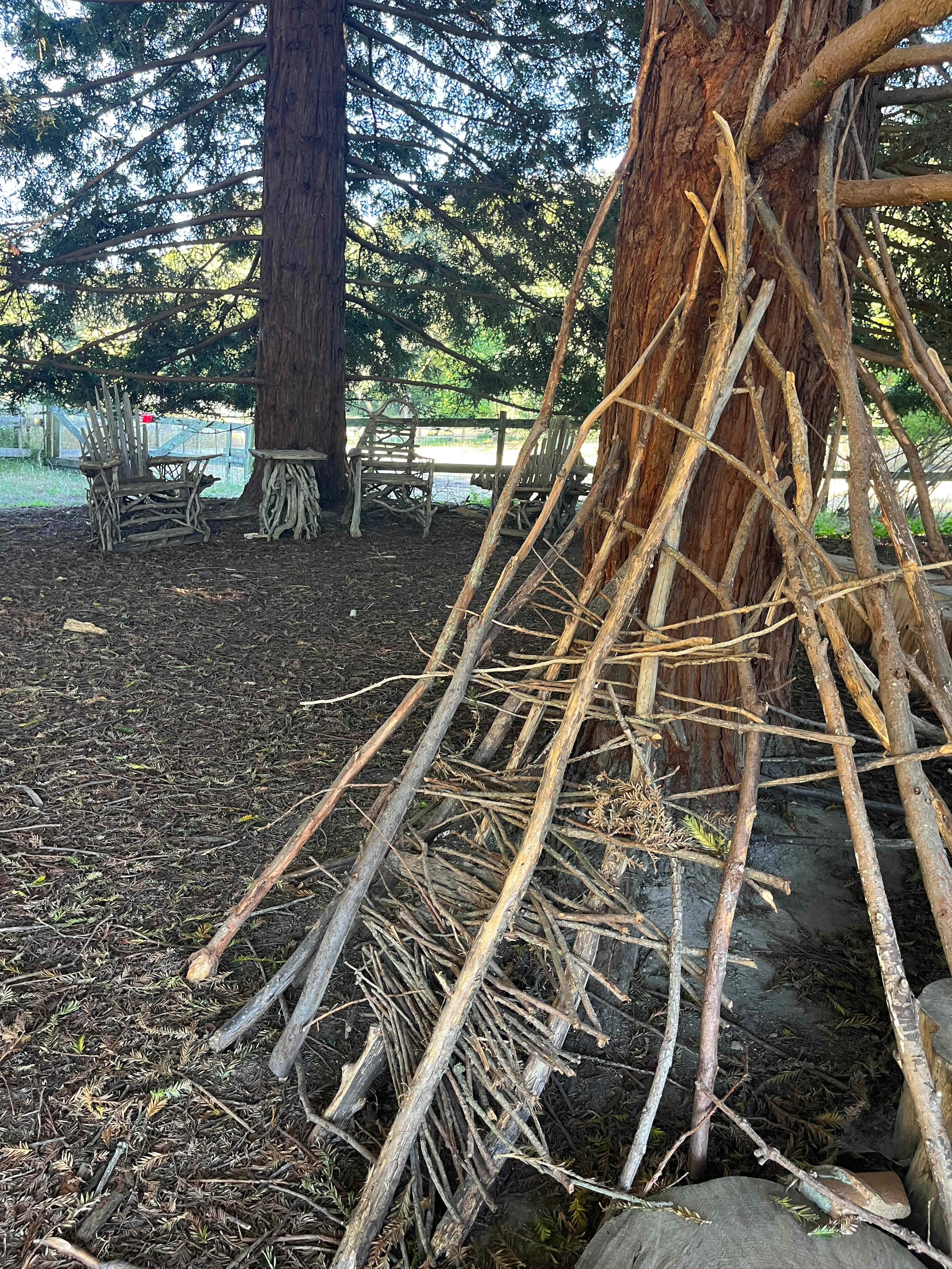 Meadow camping in Bolinas