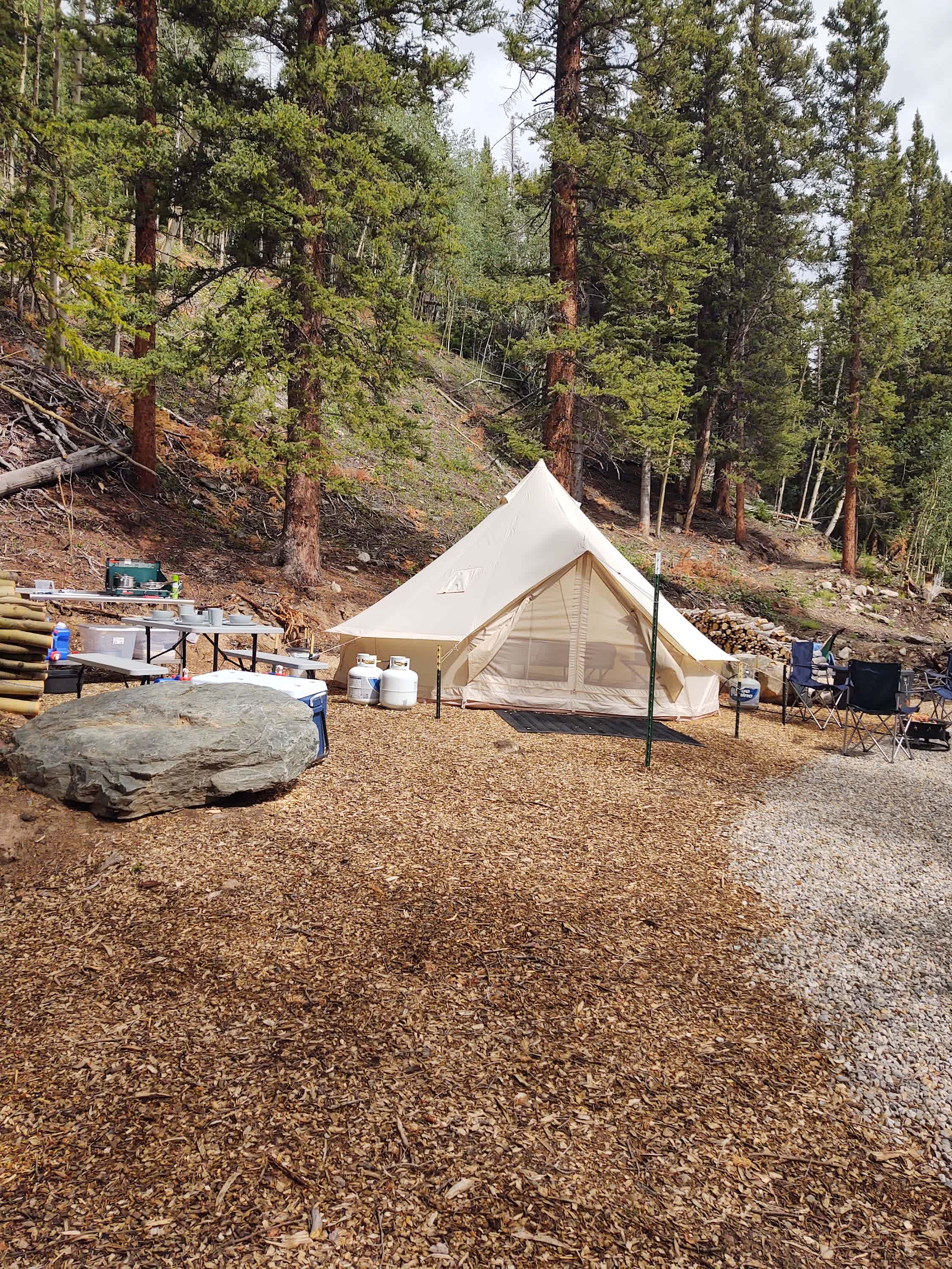 Picture of the site