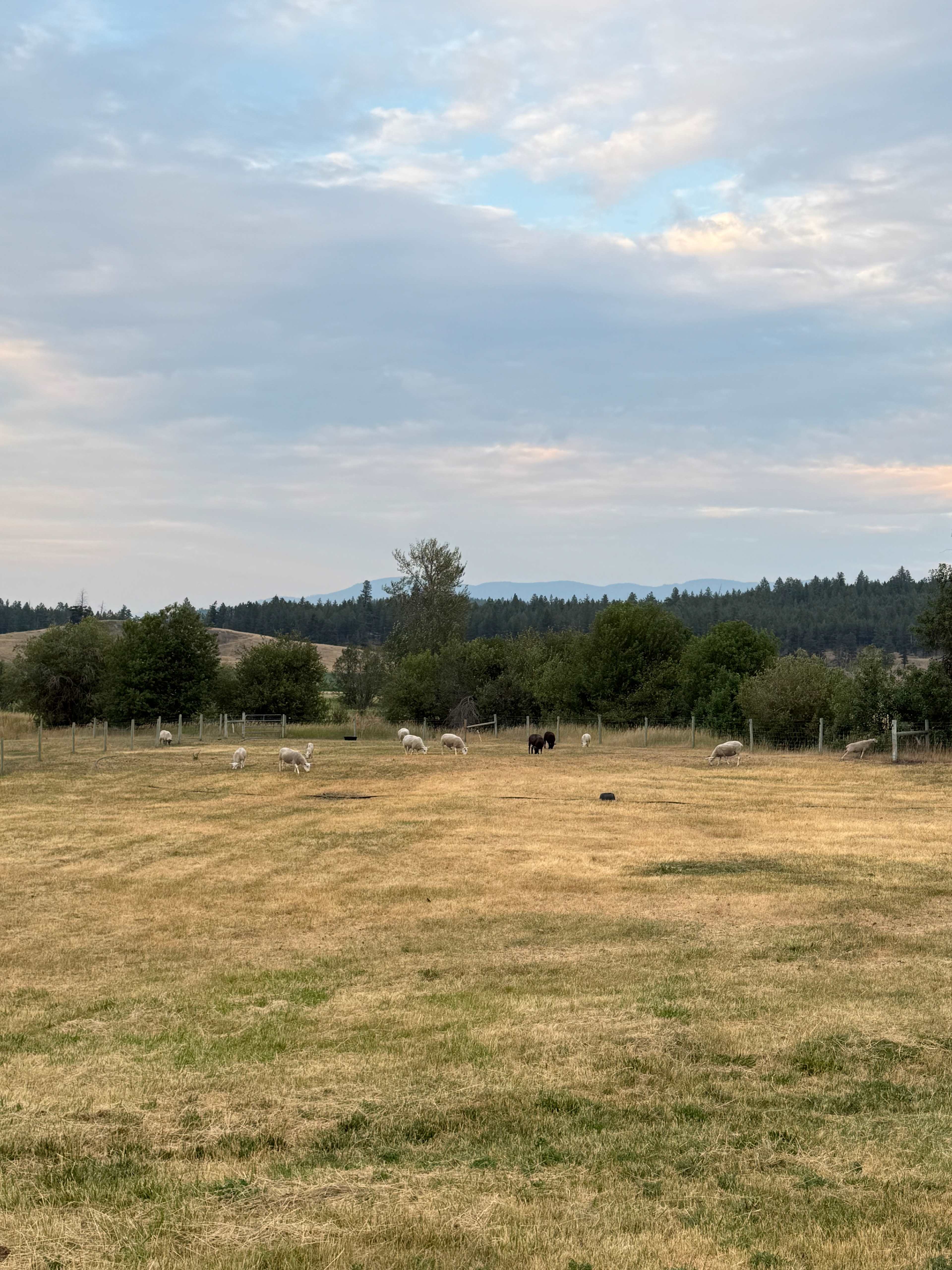 Holmwood Farm