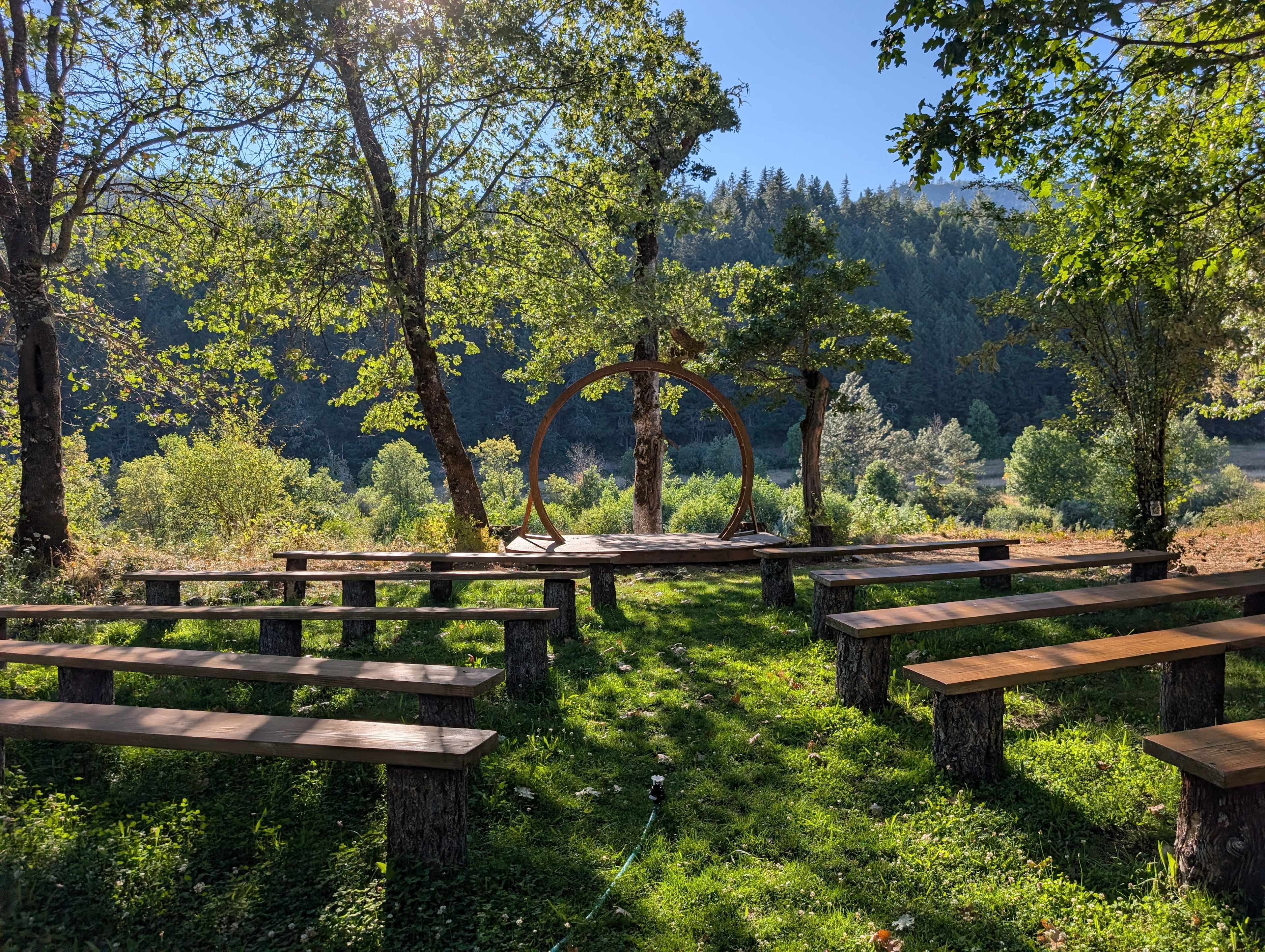 Cedar Bloom