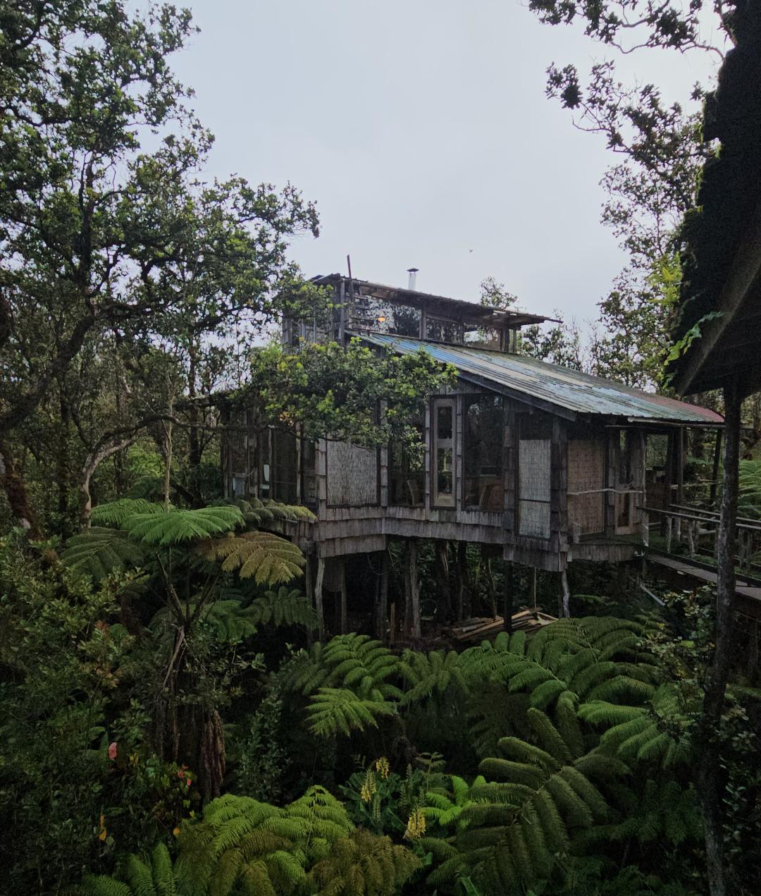 View from the patio