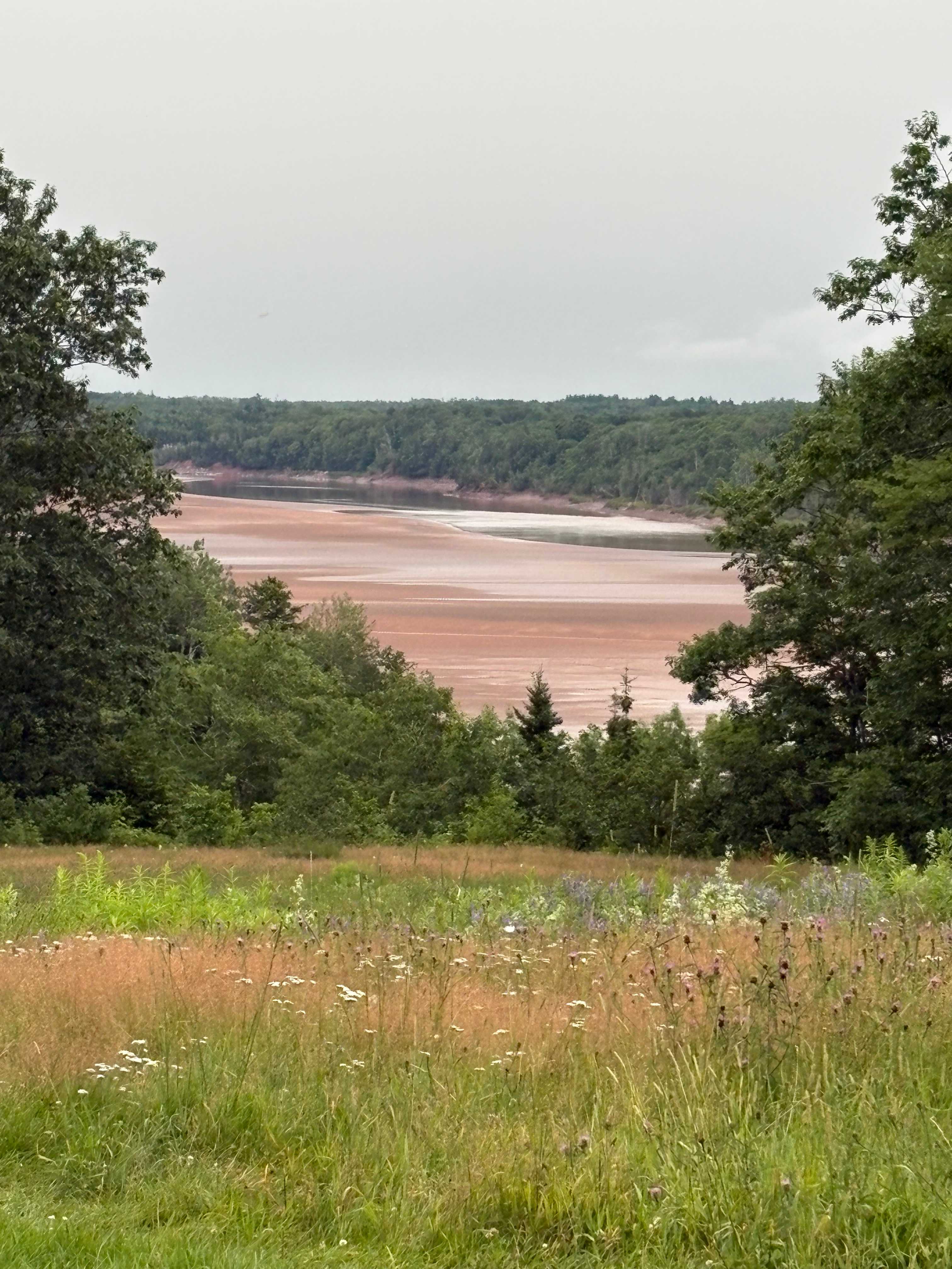 View from the campsite.