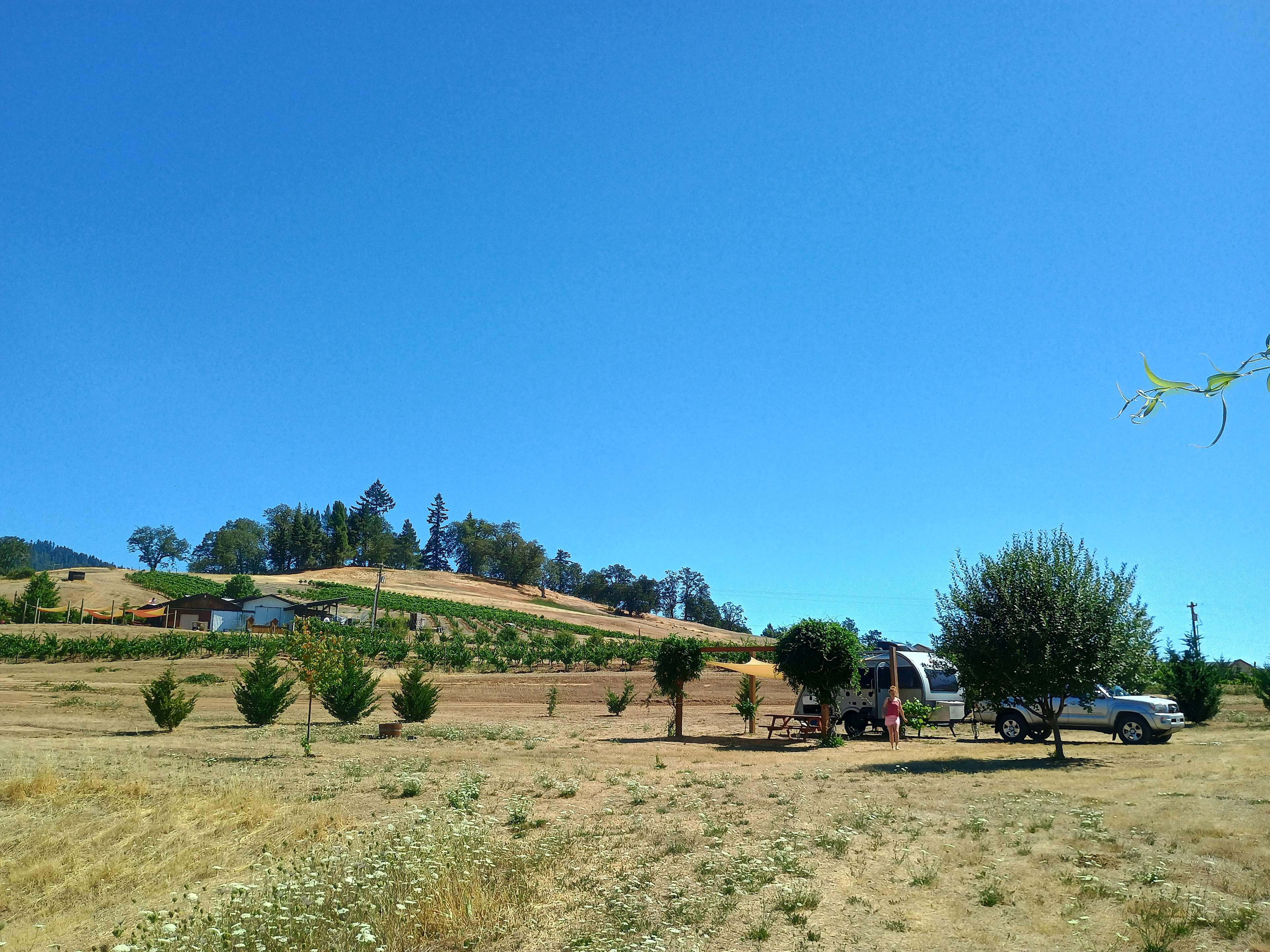 Hideaway At The Vineyard