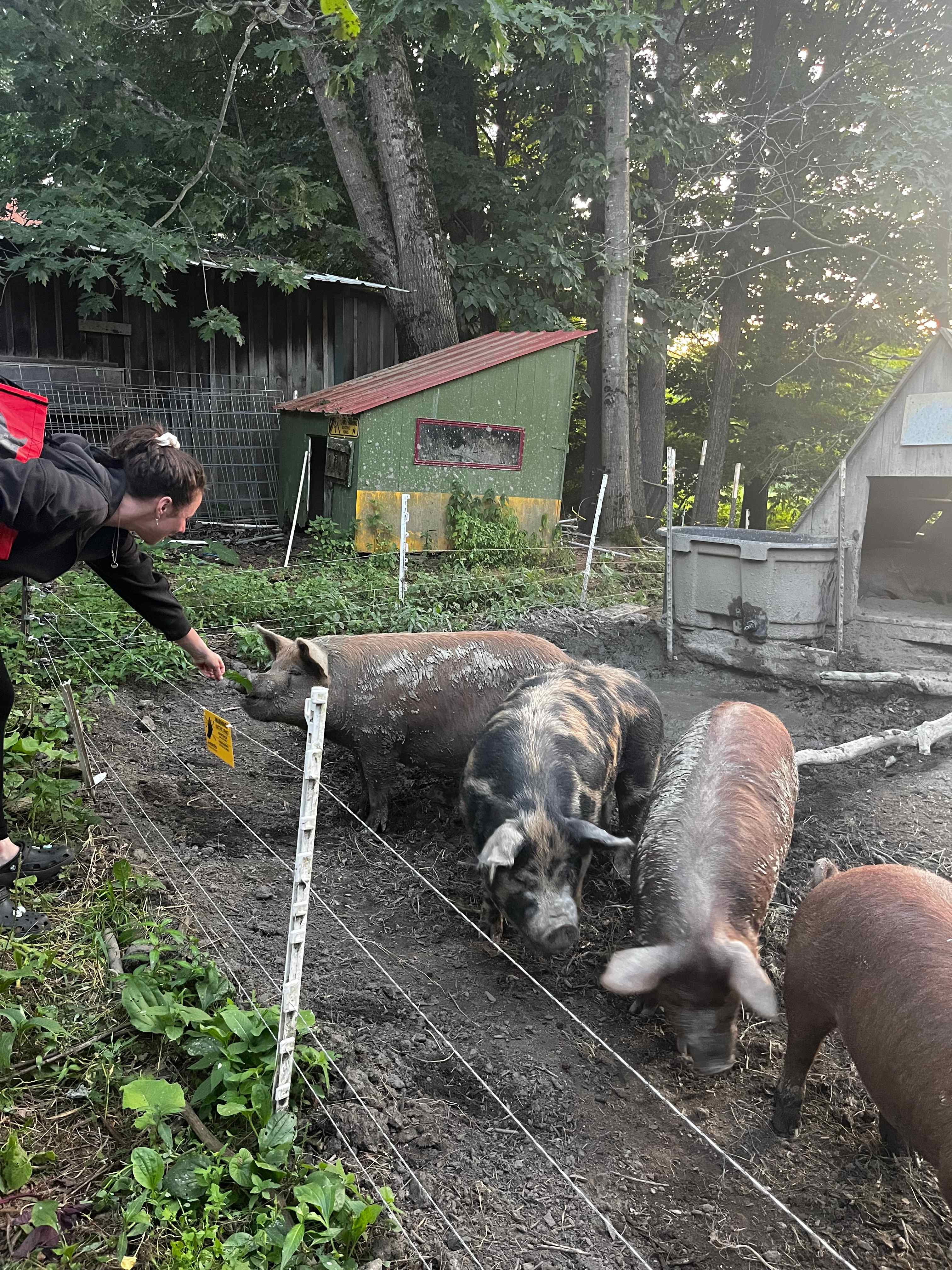 Tir na nOg Farm