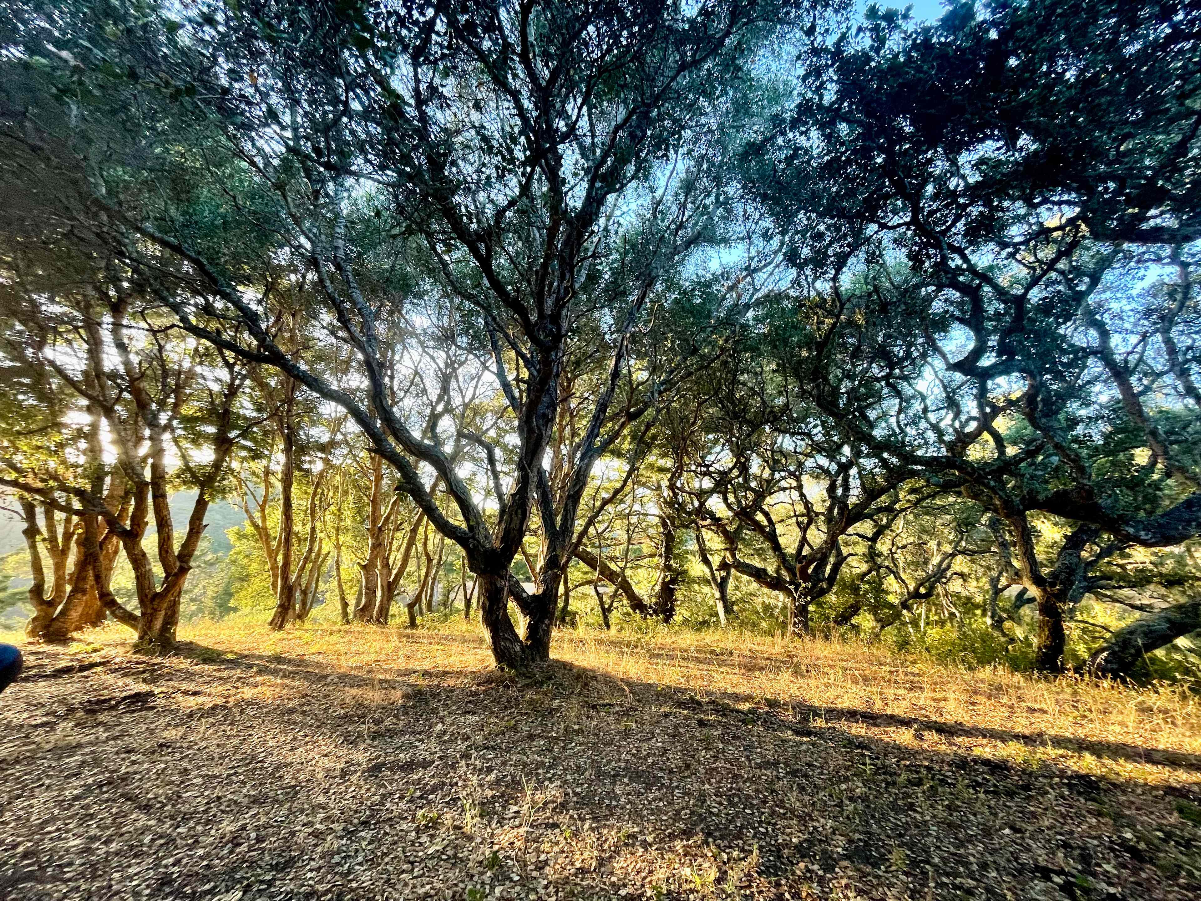 Bear Gulch Hide Out