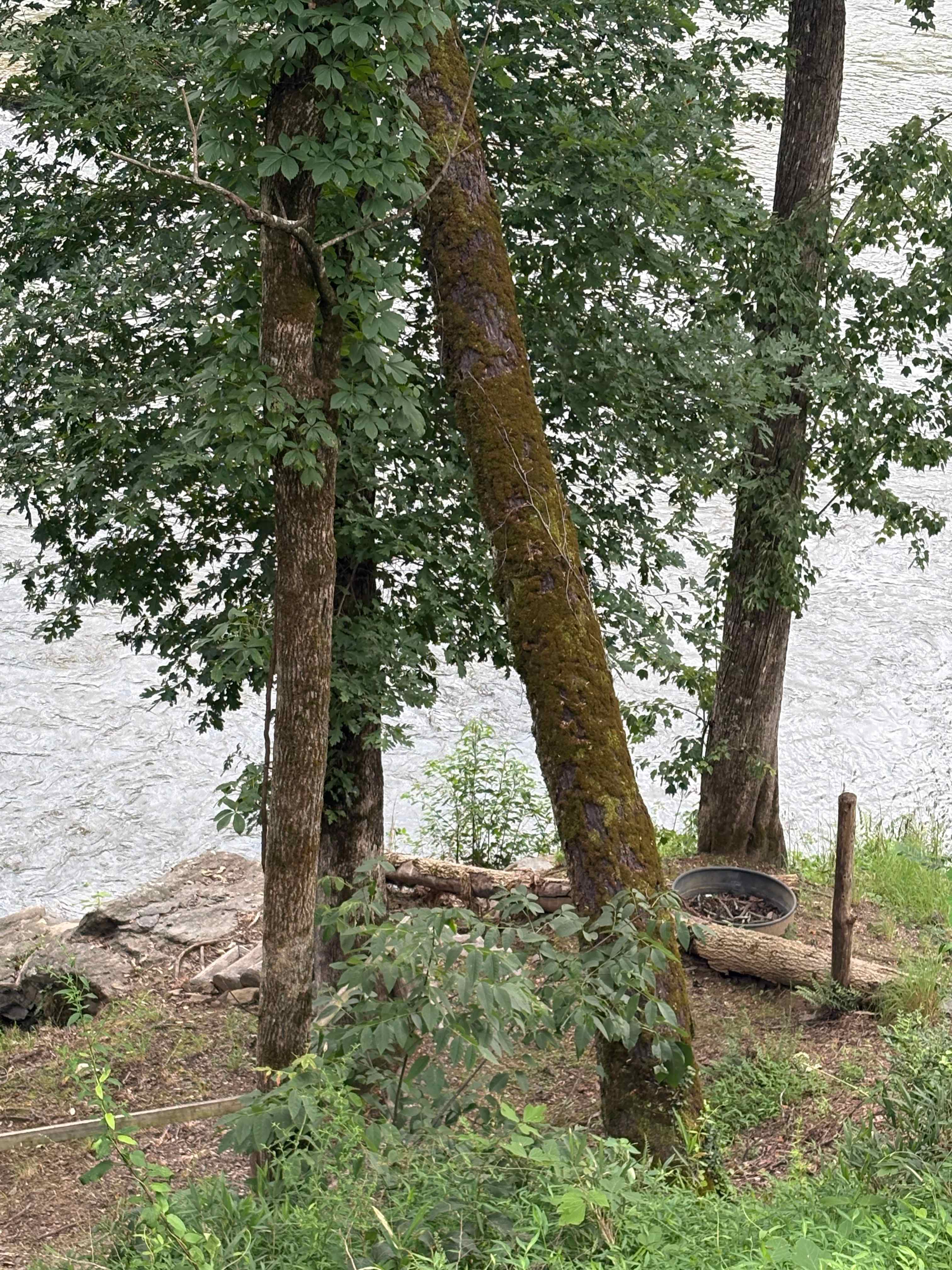 Camp Tuck