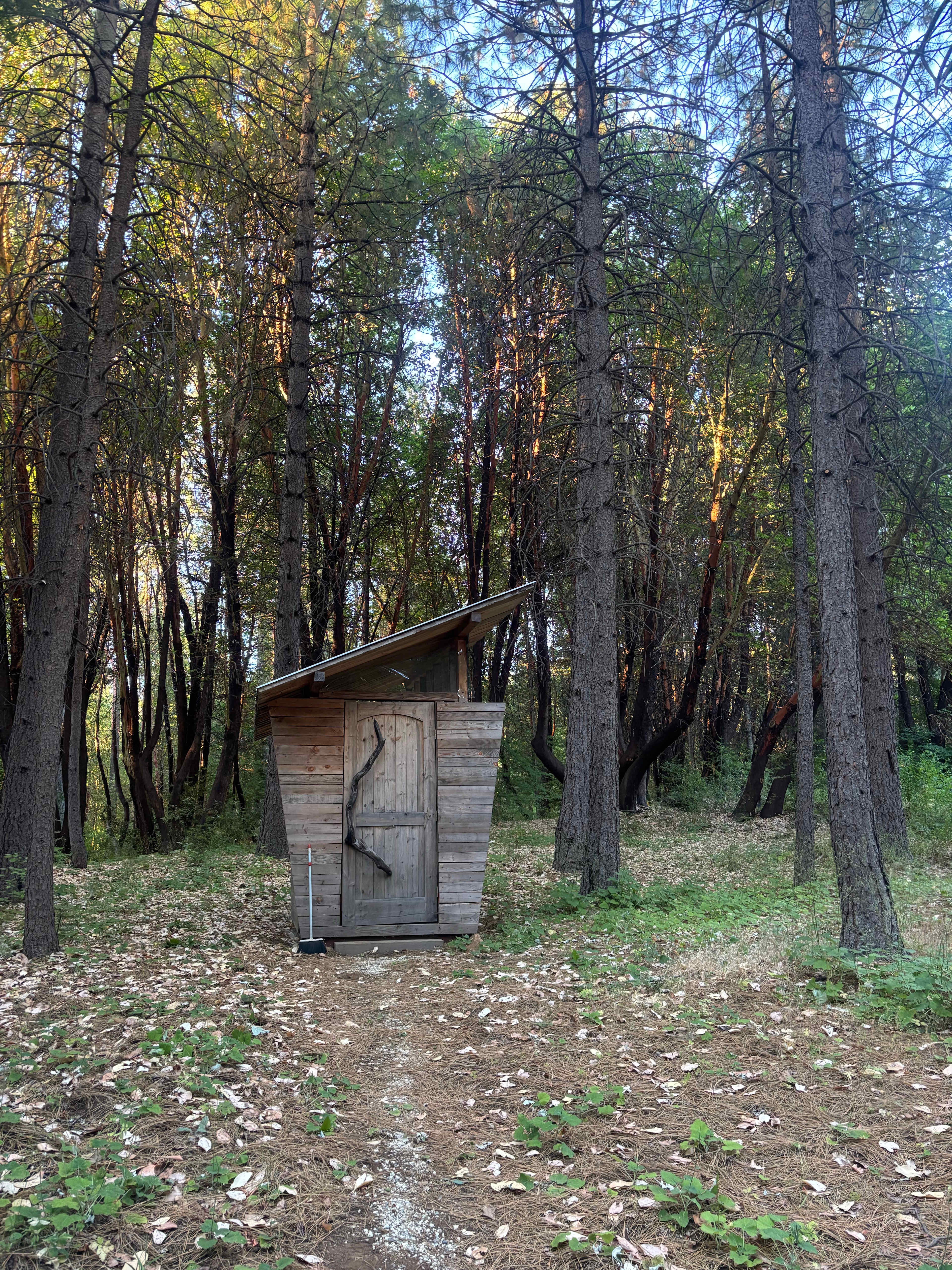 Radiance cabin outhouse