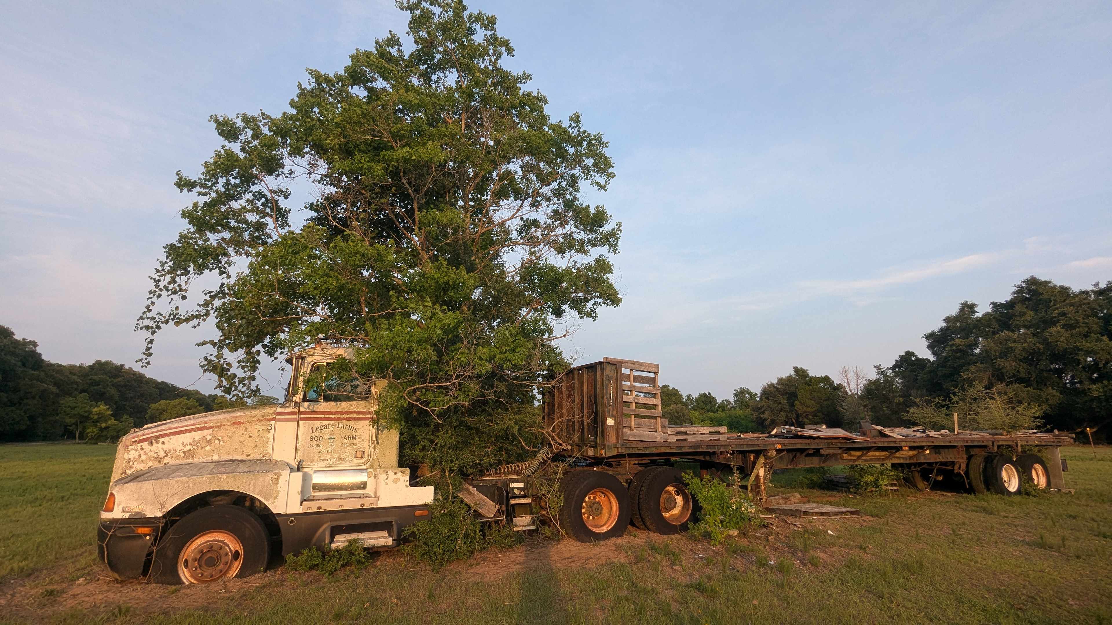 Nature is stronger than a truck😁