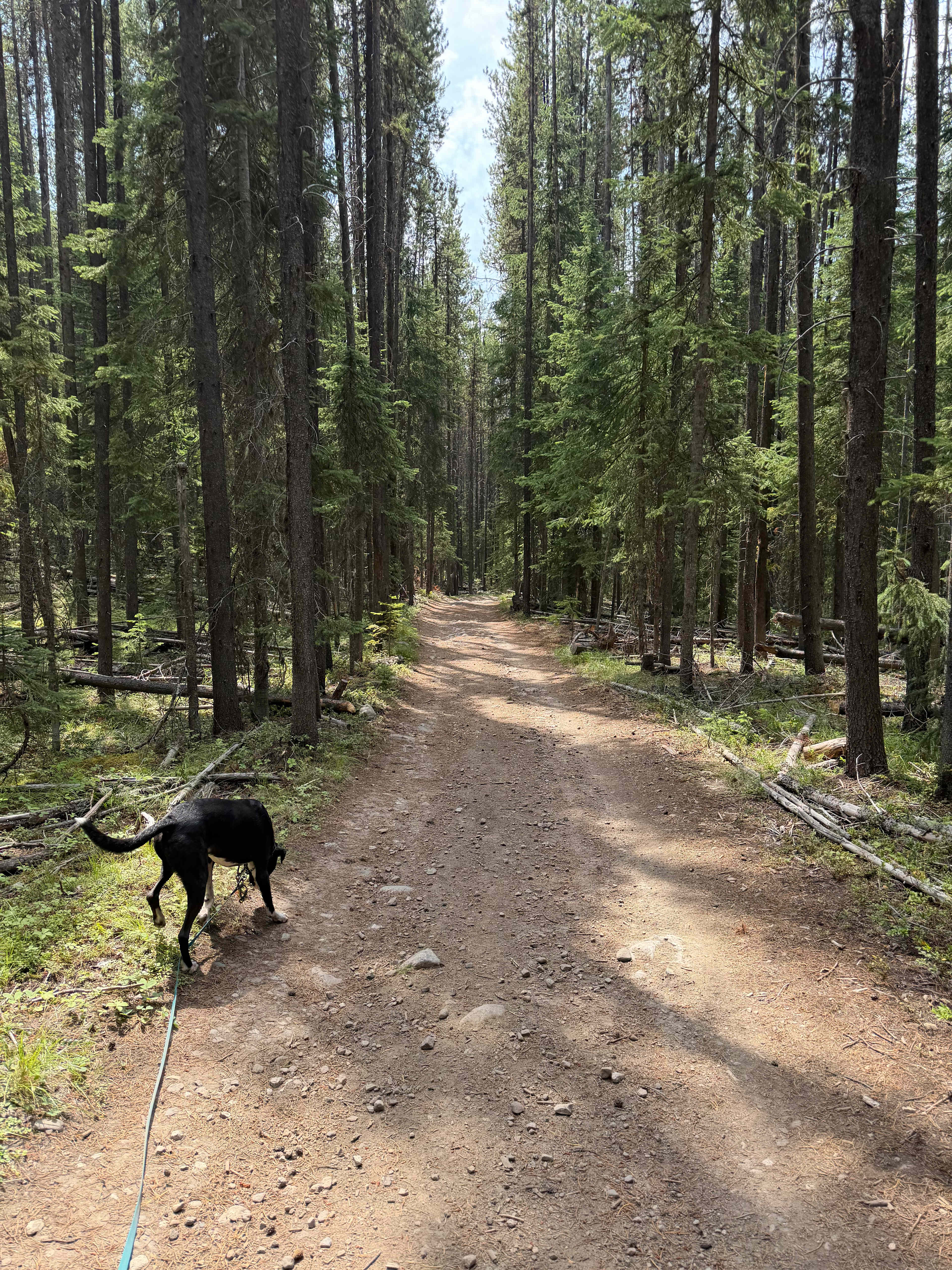 Lots of empty hiking trails - we saw two groups in 2 hours