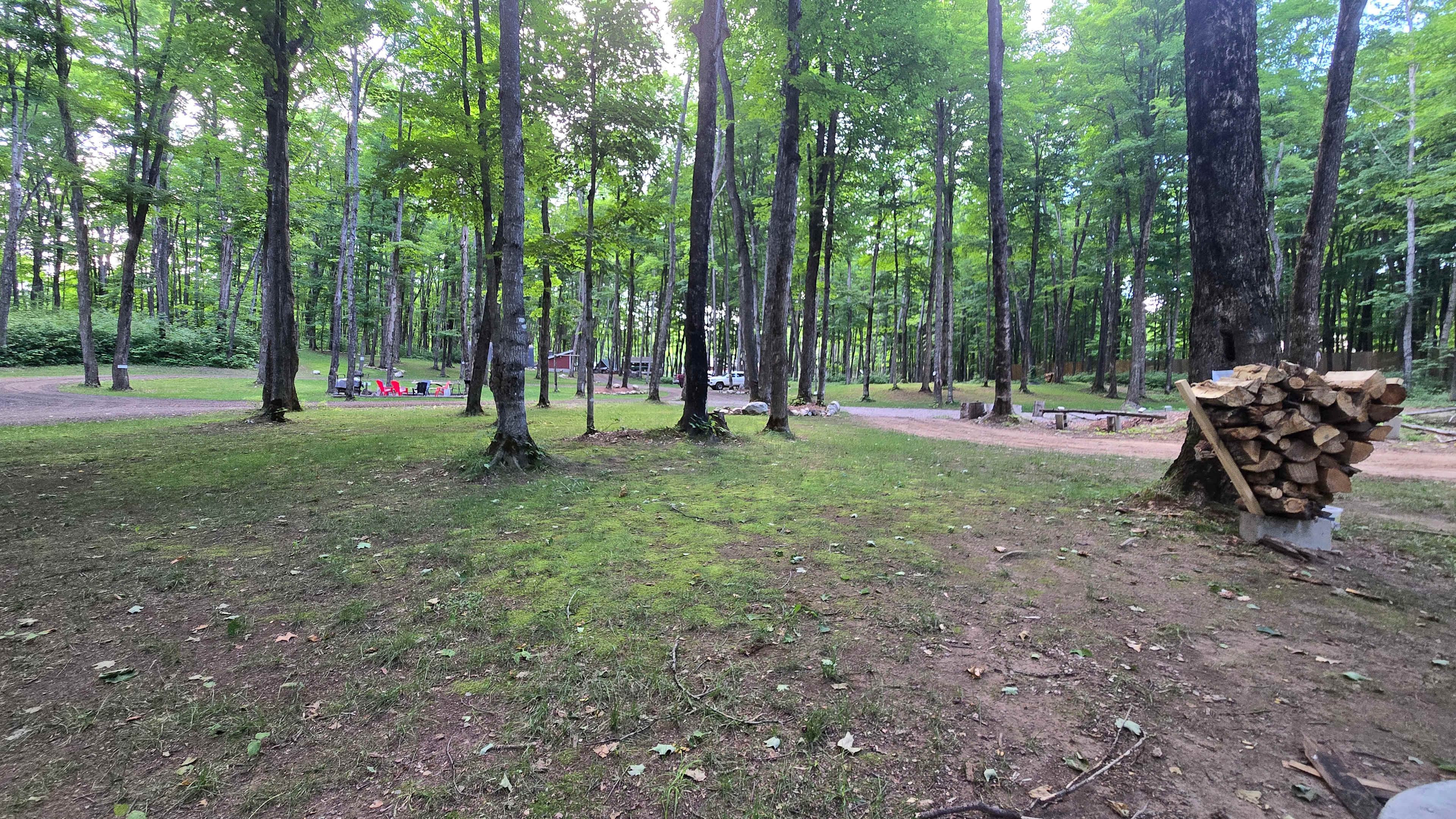 Northern Oasis Camping