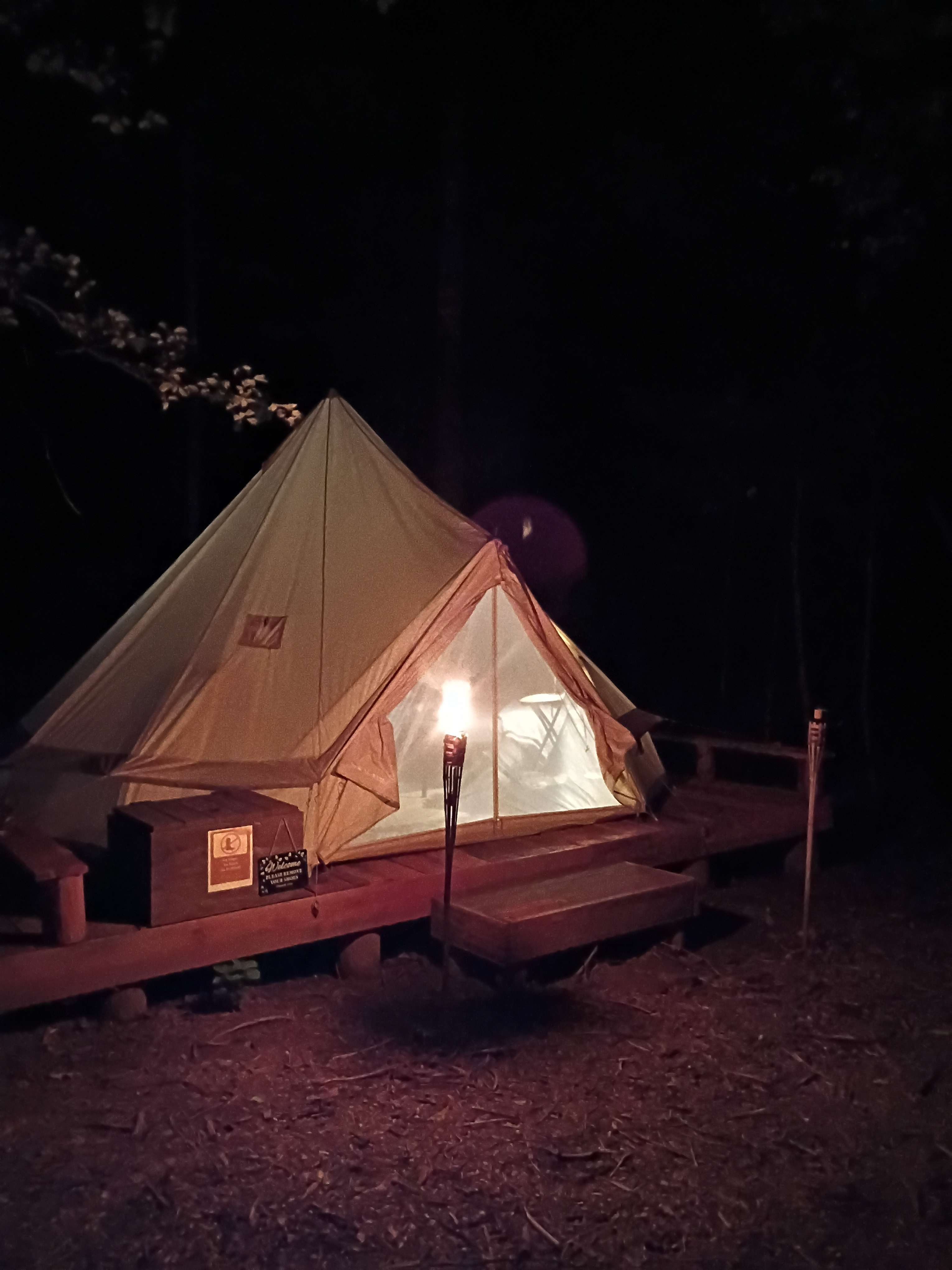 Salty Pines Hideaway
