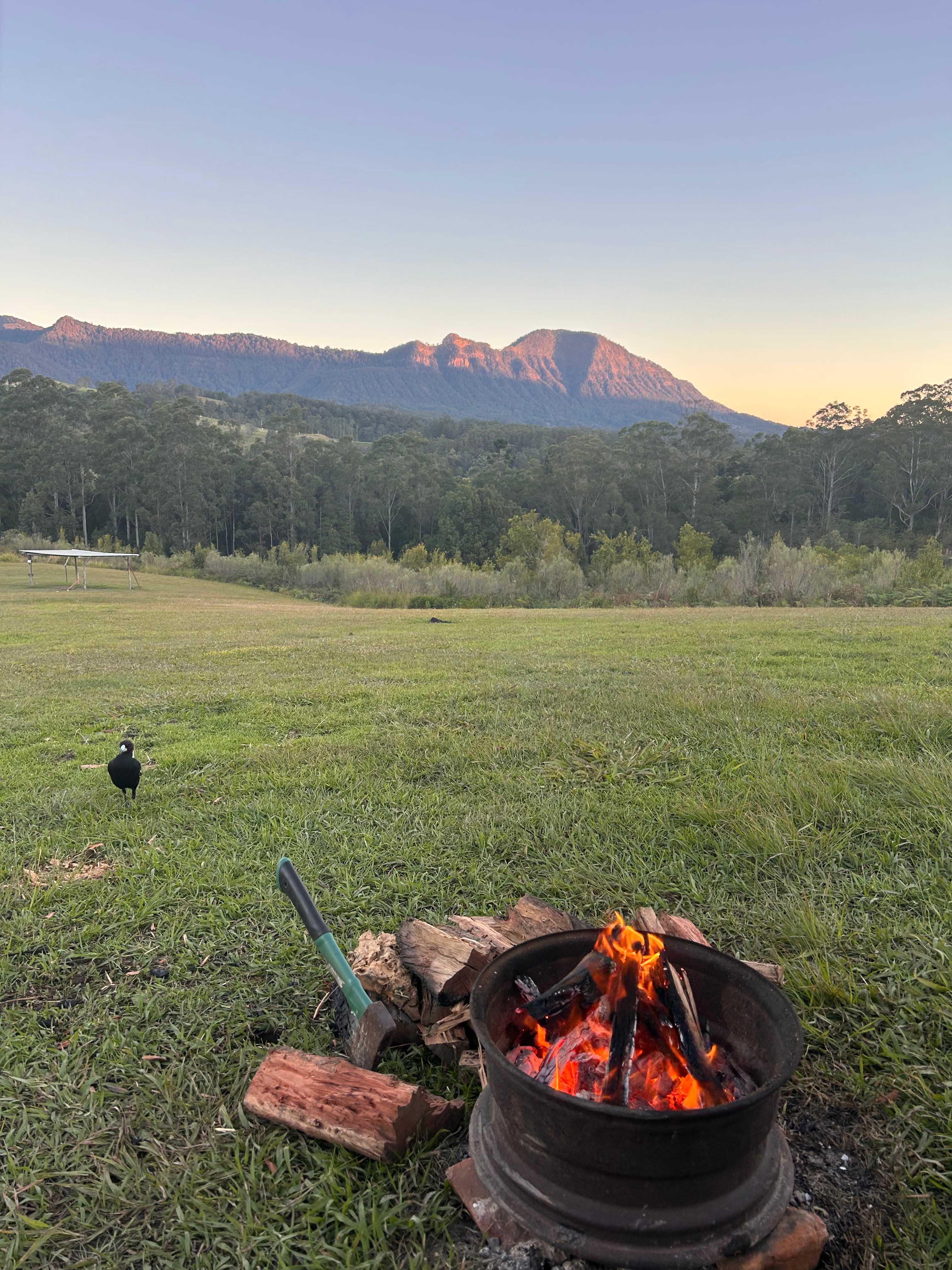 Gotta love a fire pit .