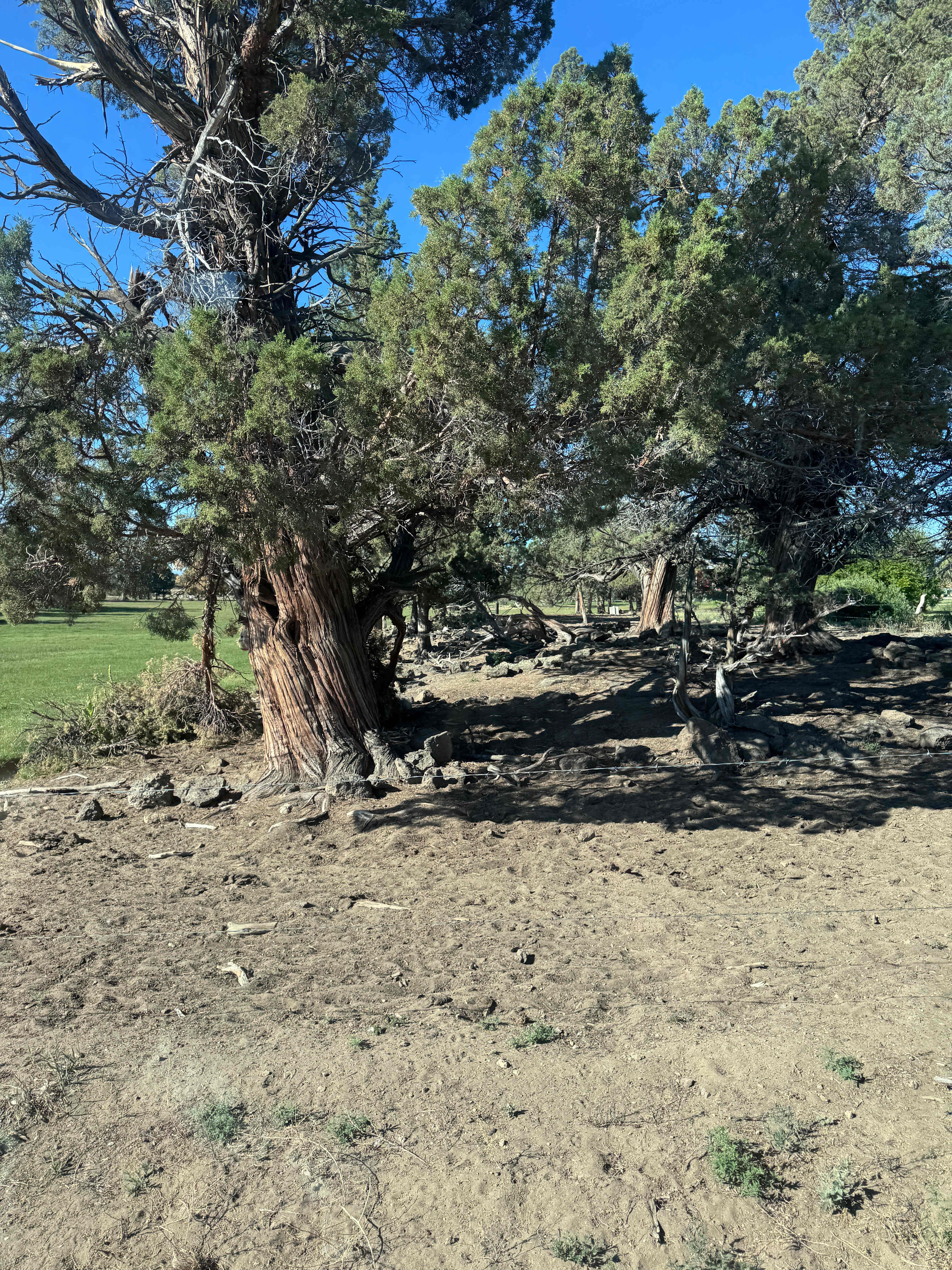 Working Ranch just outside Bend