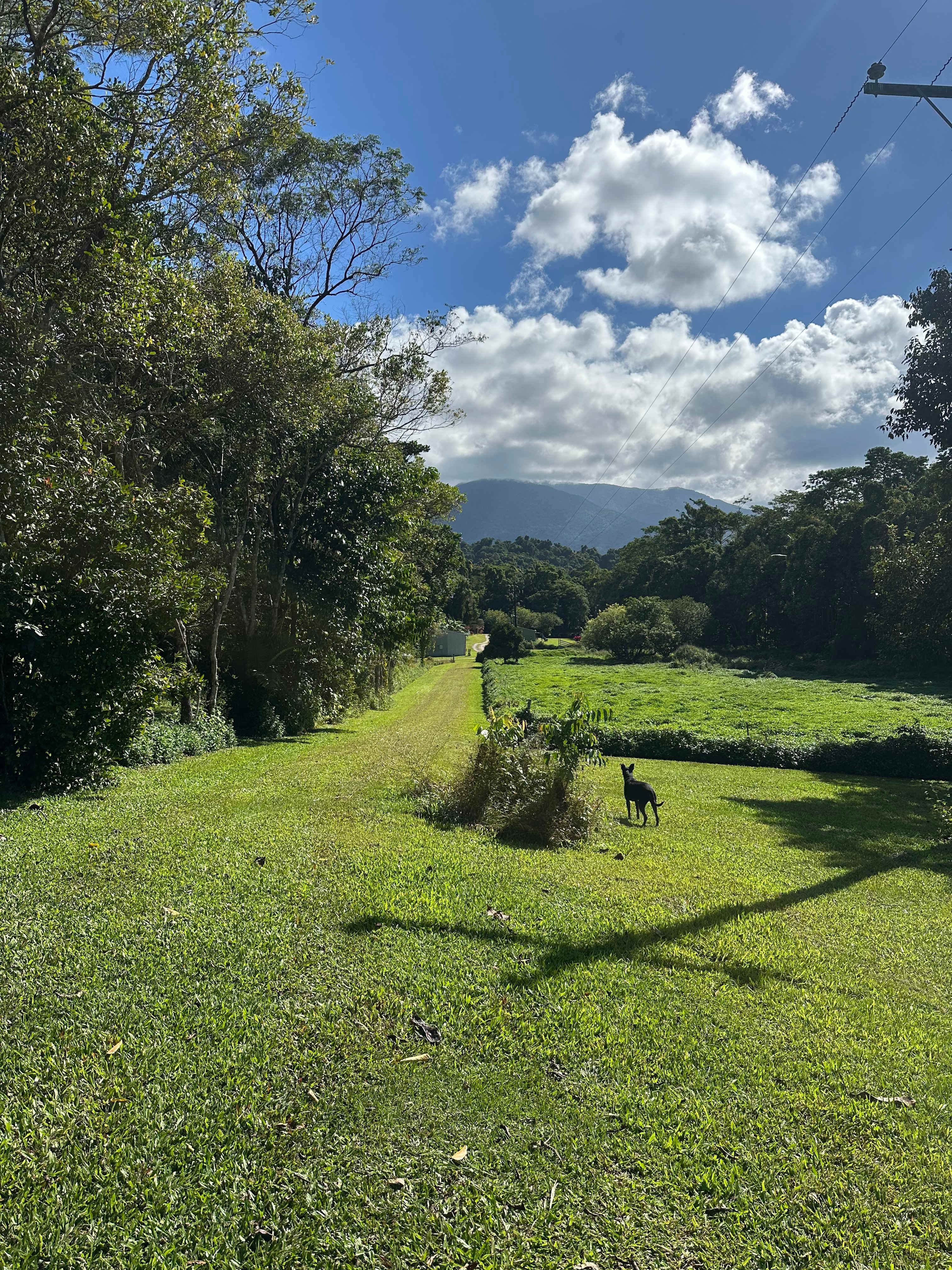 Paradise Camps
