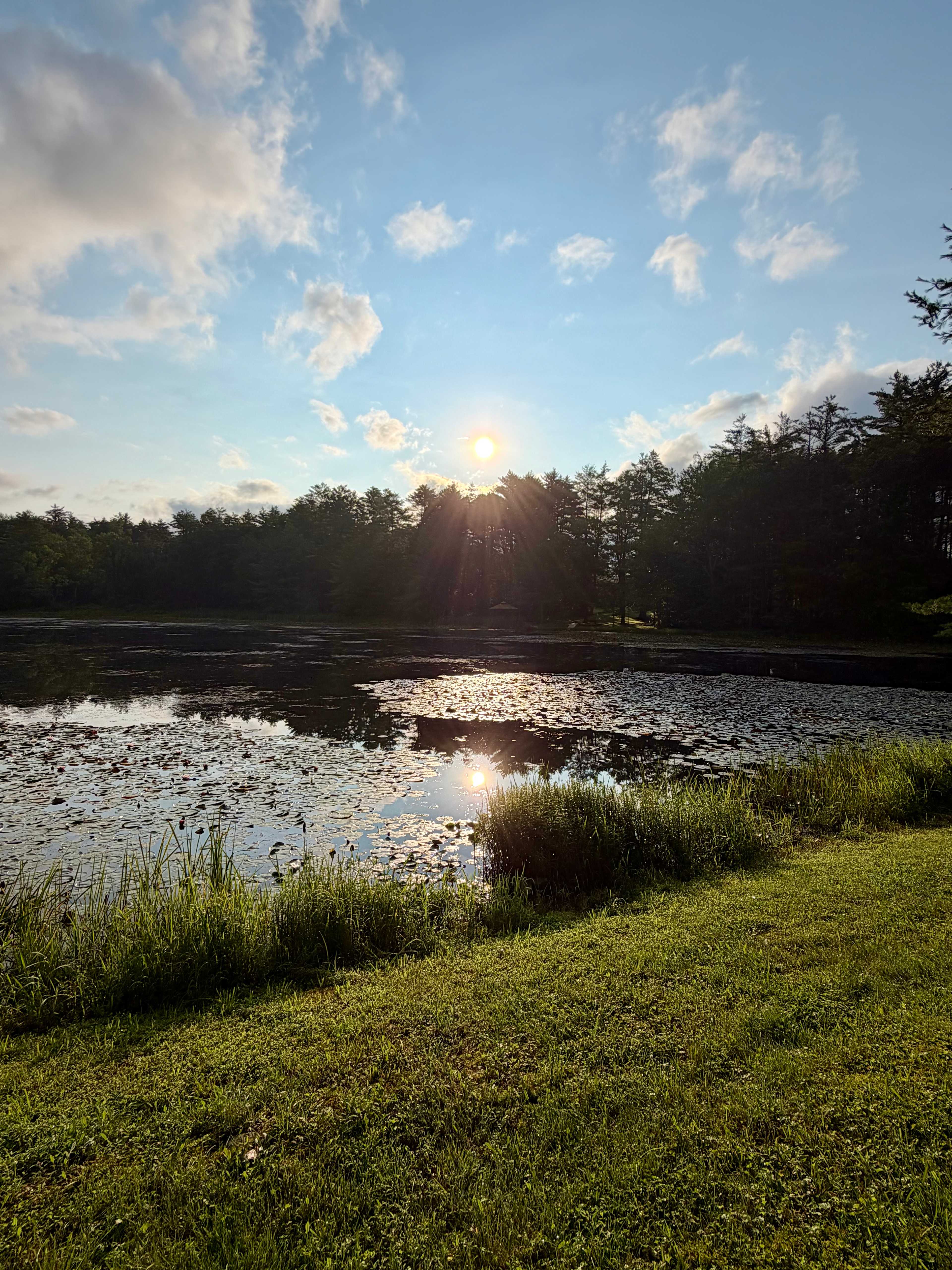 Paper Mill Pines Glamping Getaway