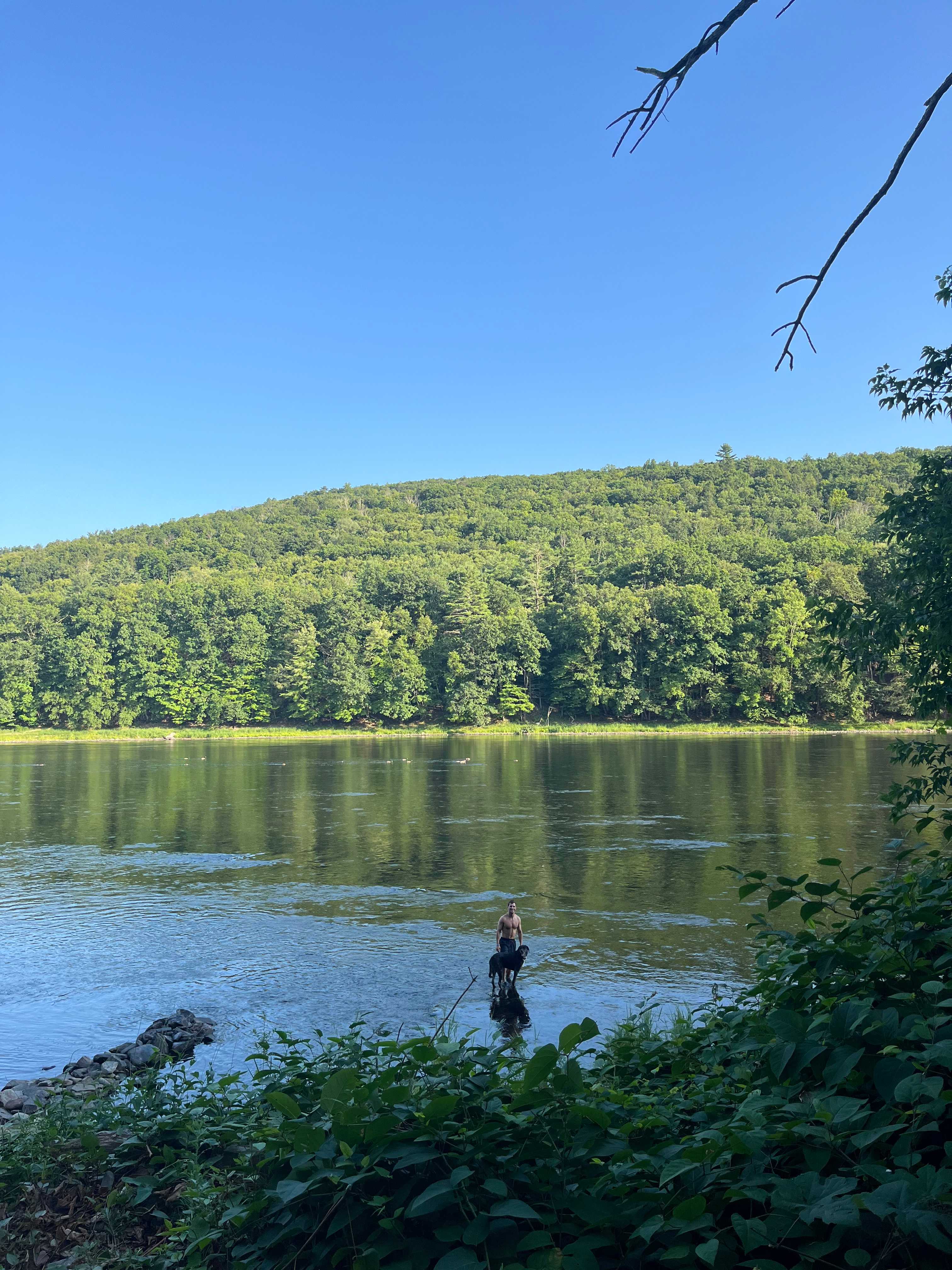 The River's Edge