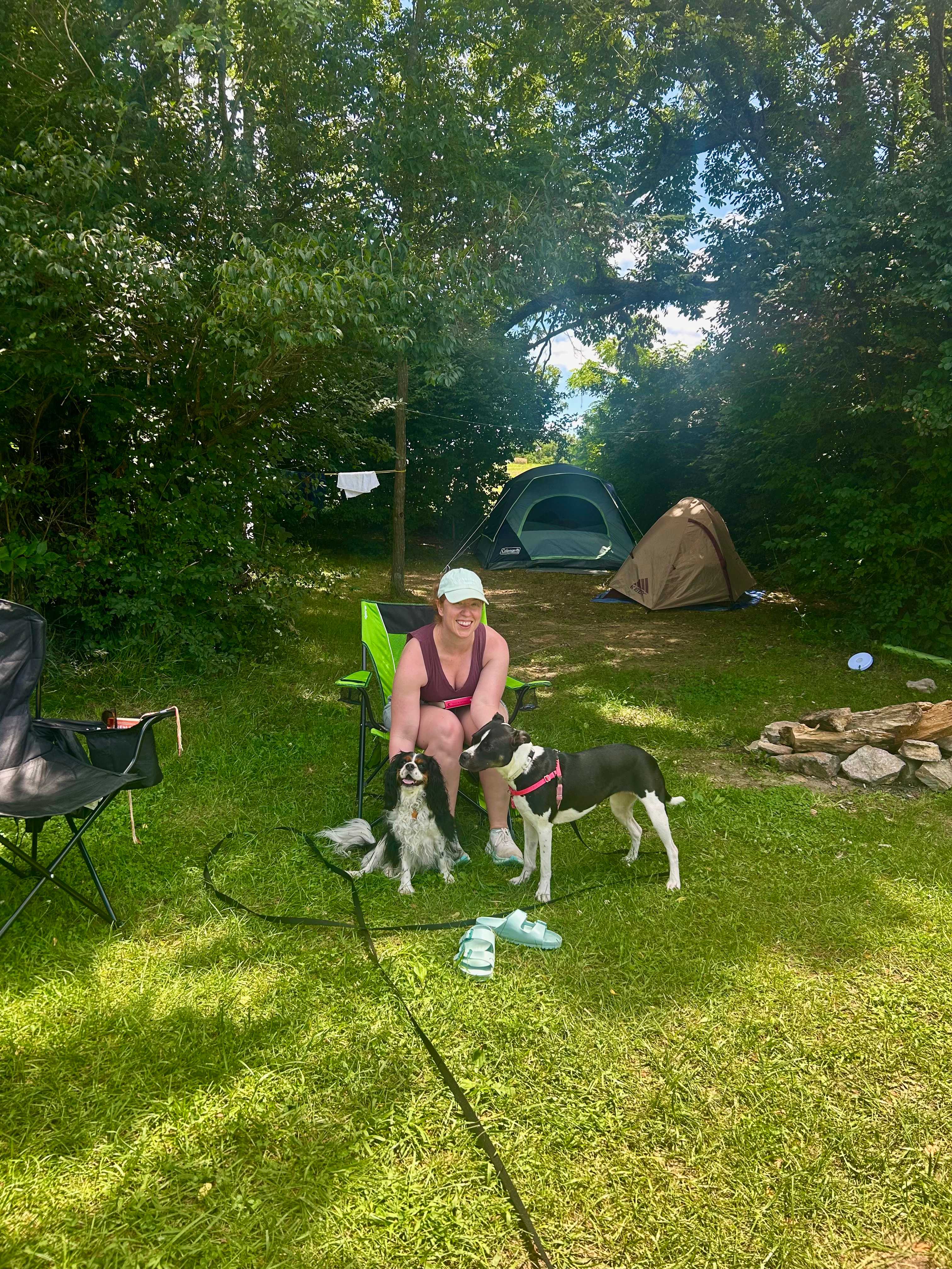 Our cozy little tent area and two delighted pups!