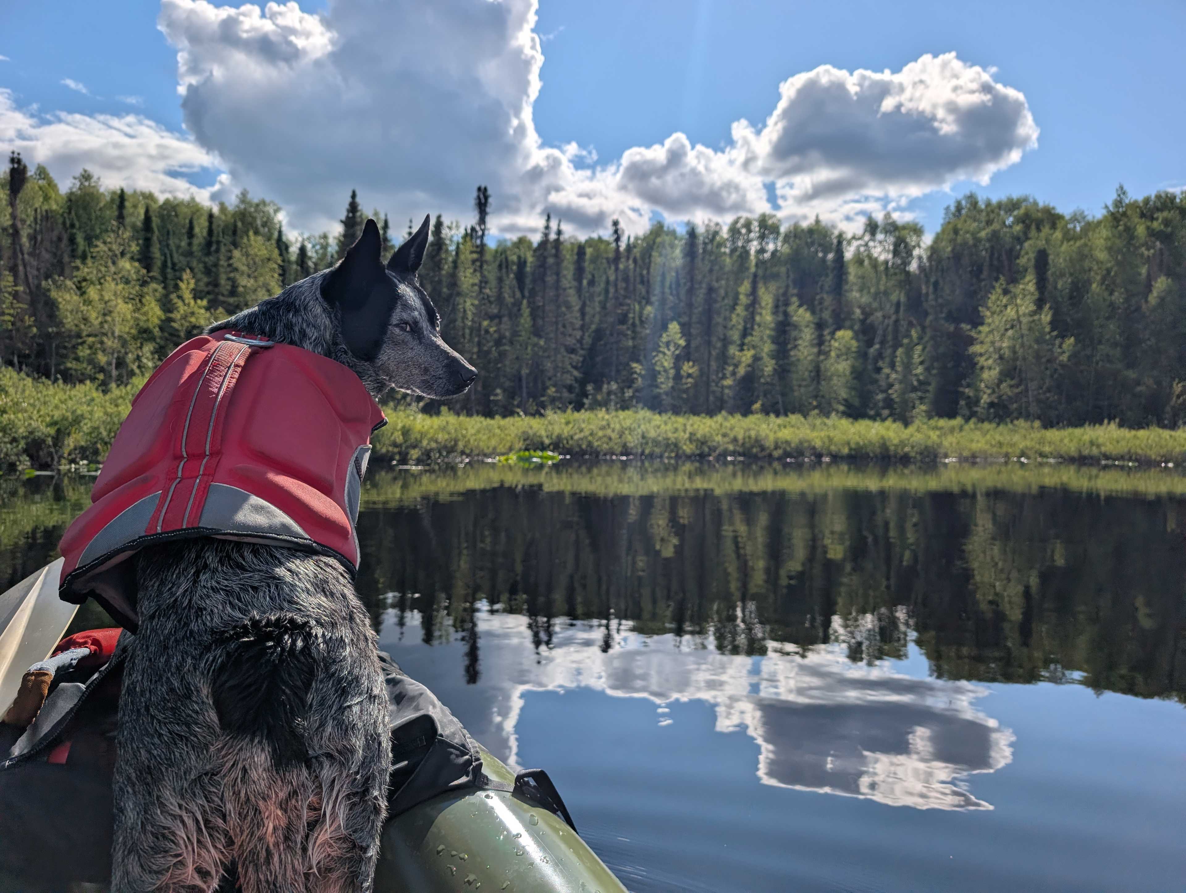 Fish Lake Landing Dry RV Talkeetna