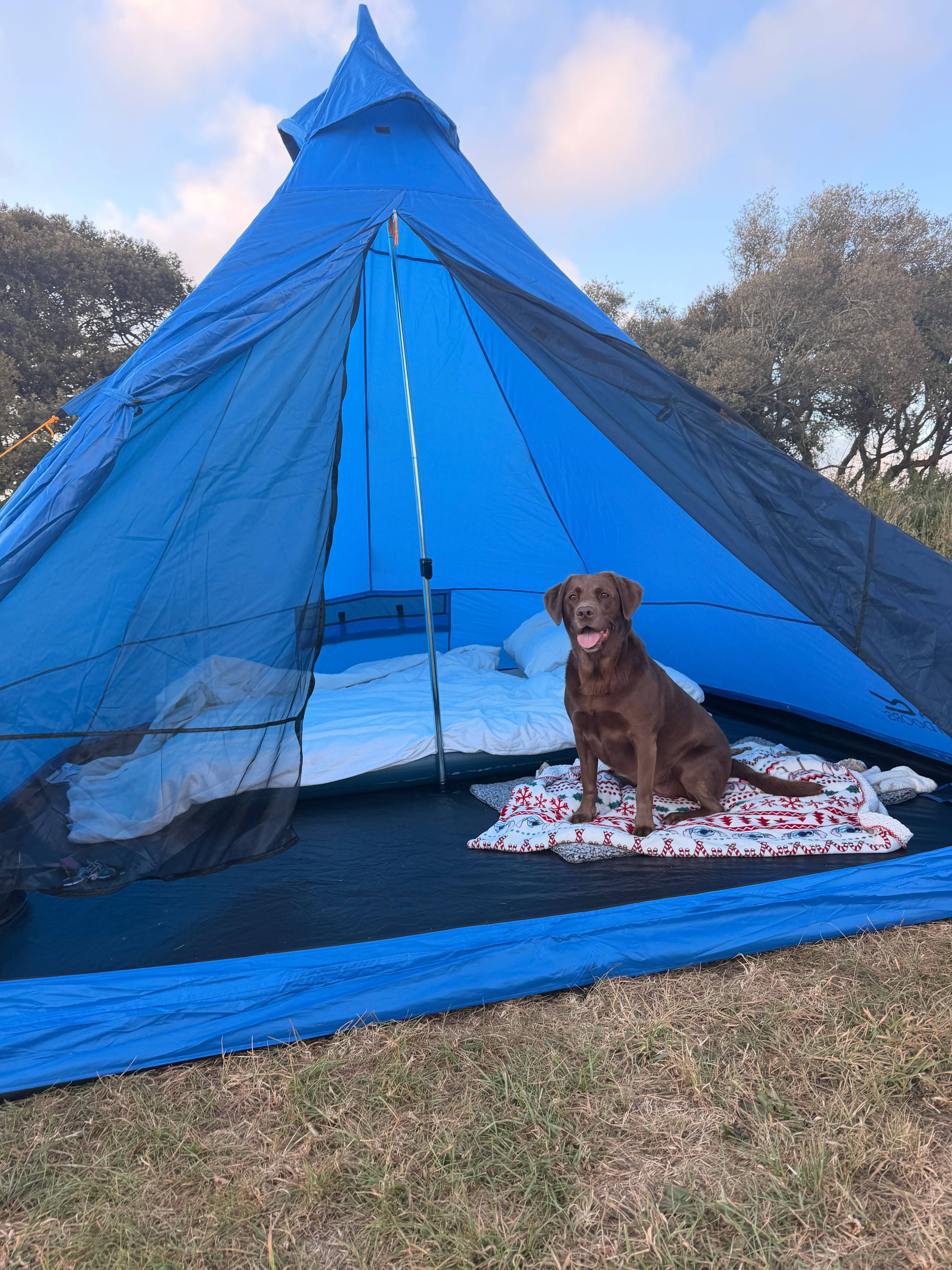 Tregella Place Camping