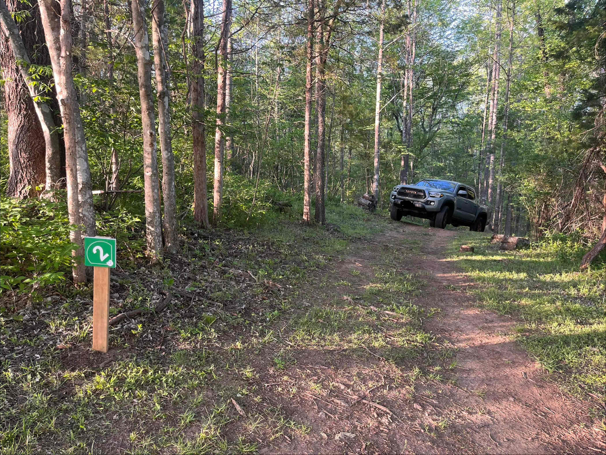 Picture of the site