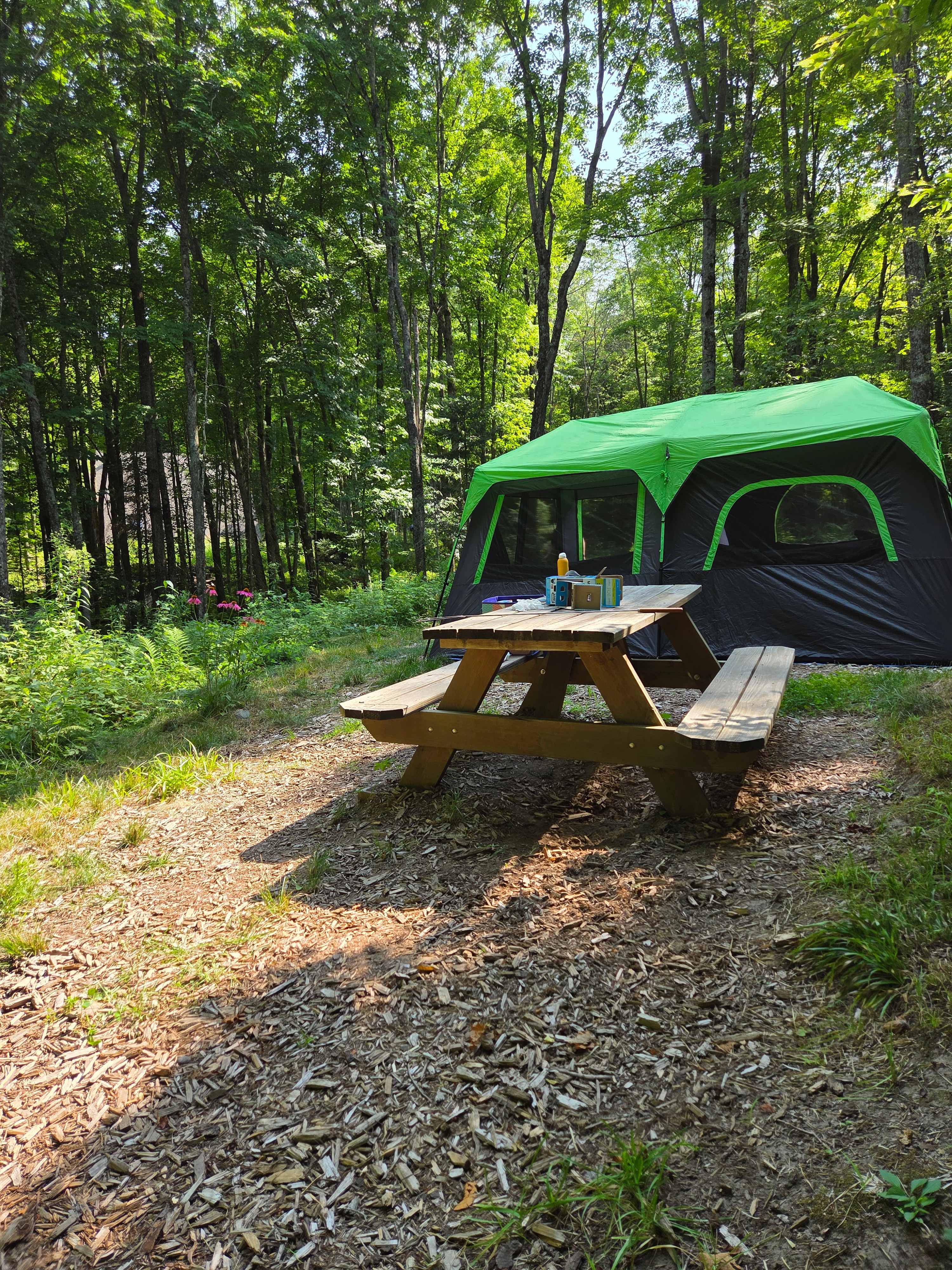 Chippewa River Forest