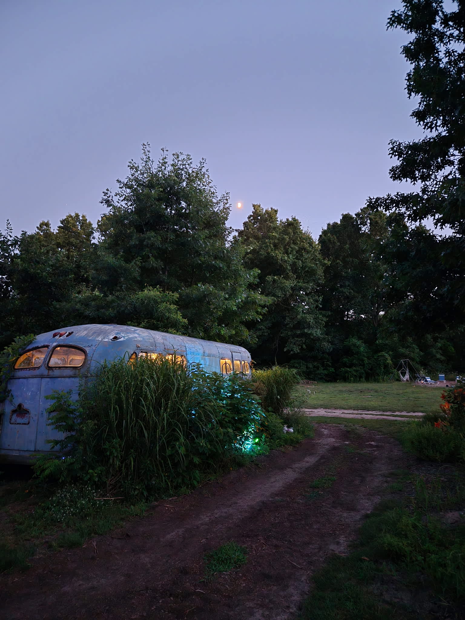 Blooming Bus Farms