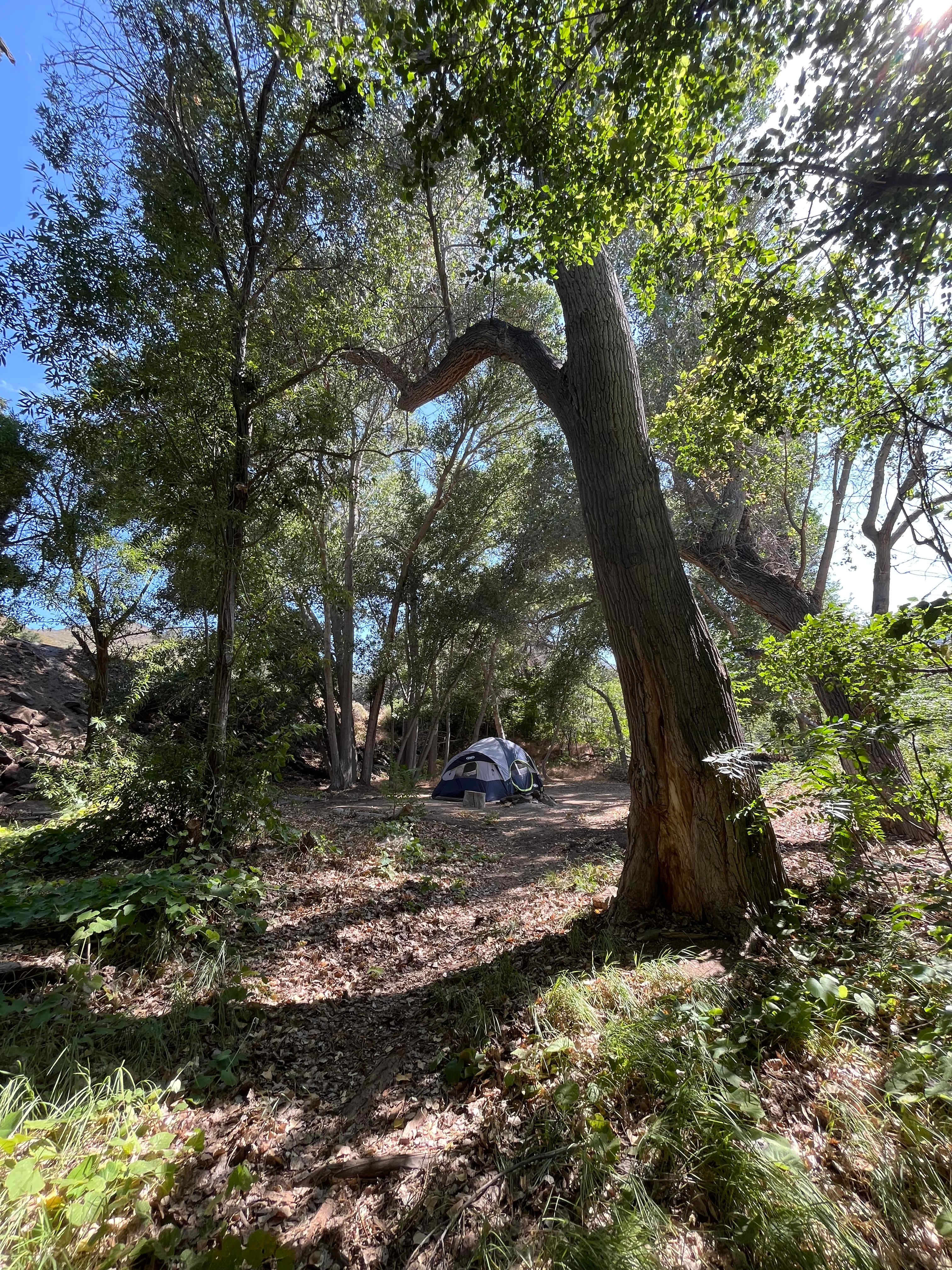 Campsite T7! The road is up and to the left, so the girls and I weren’t too scared at night :) 
