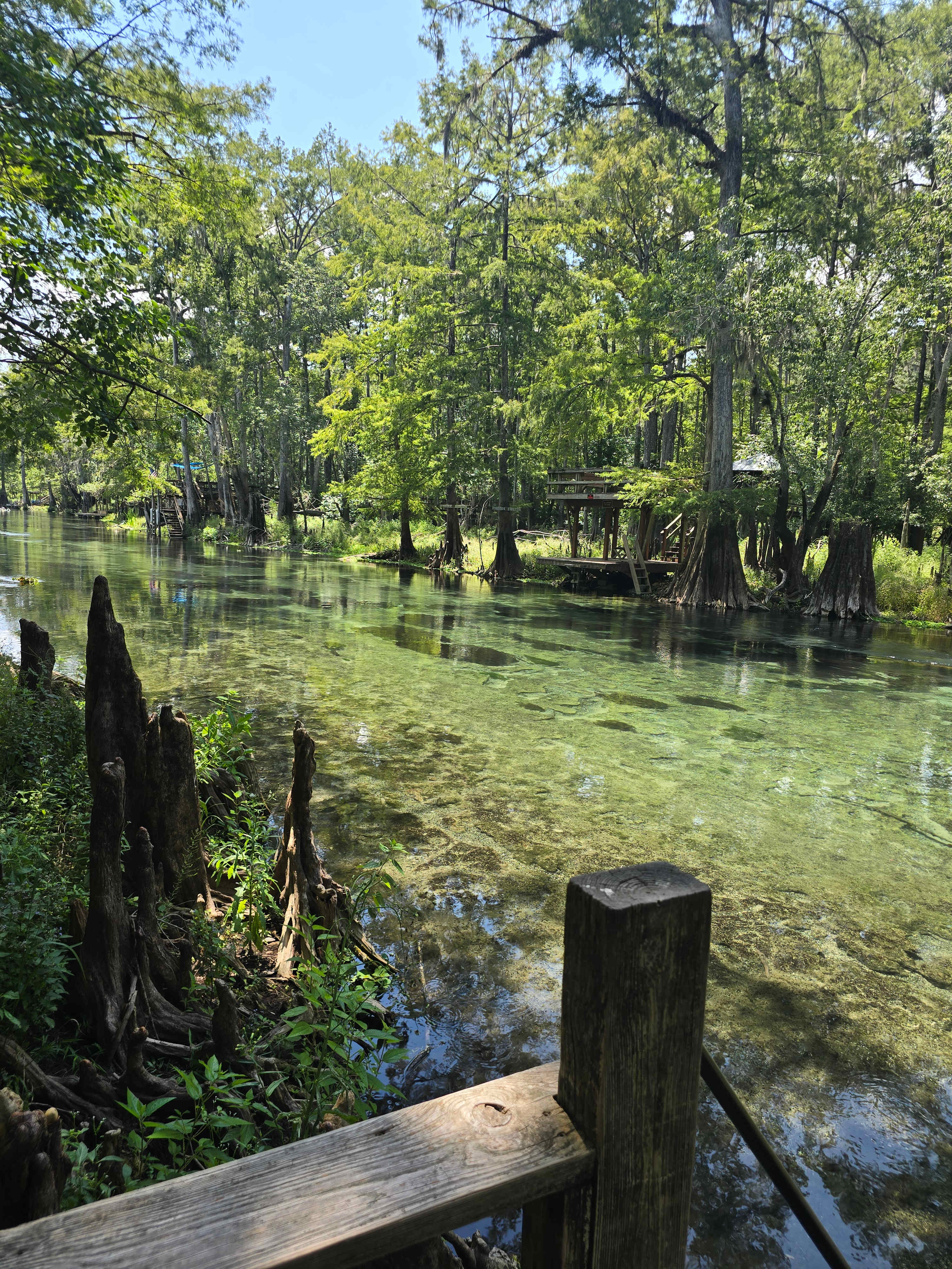 4A River Camp