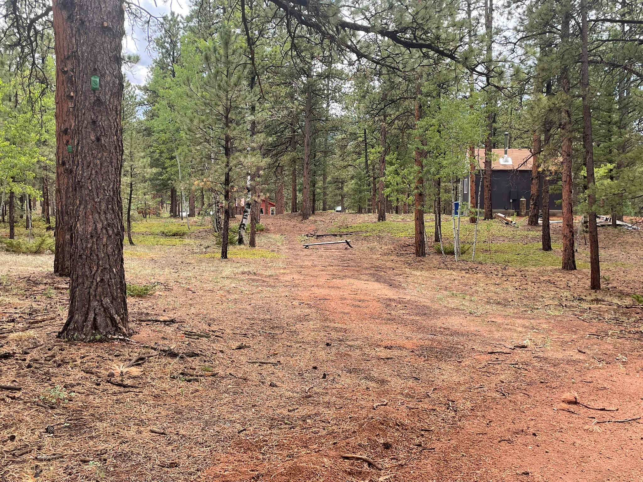 Camp Echo