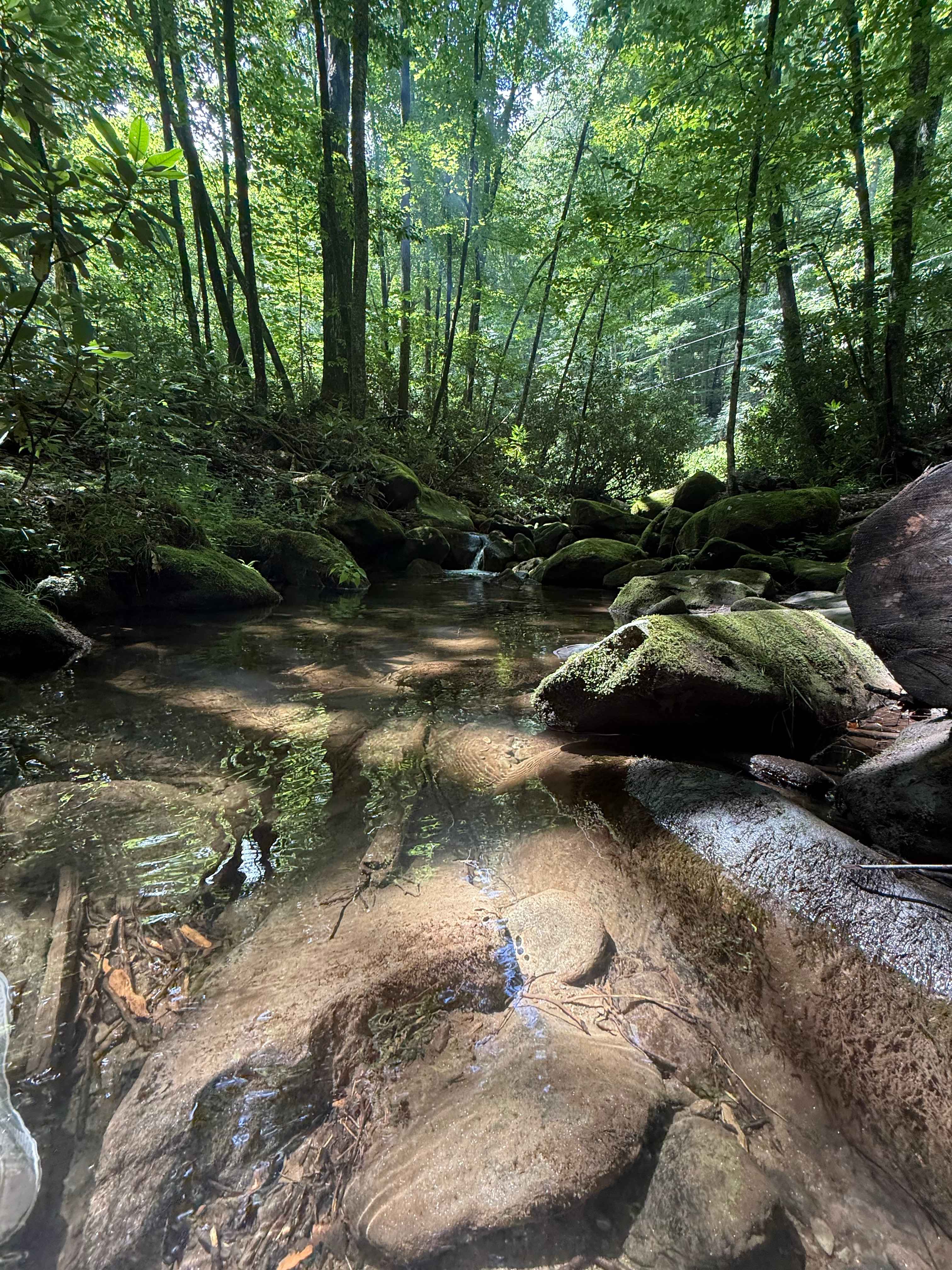 Mountain Creek Rest