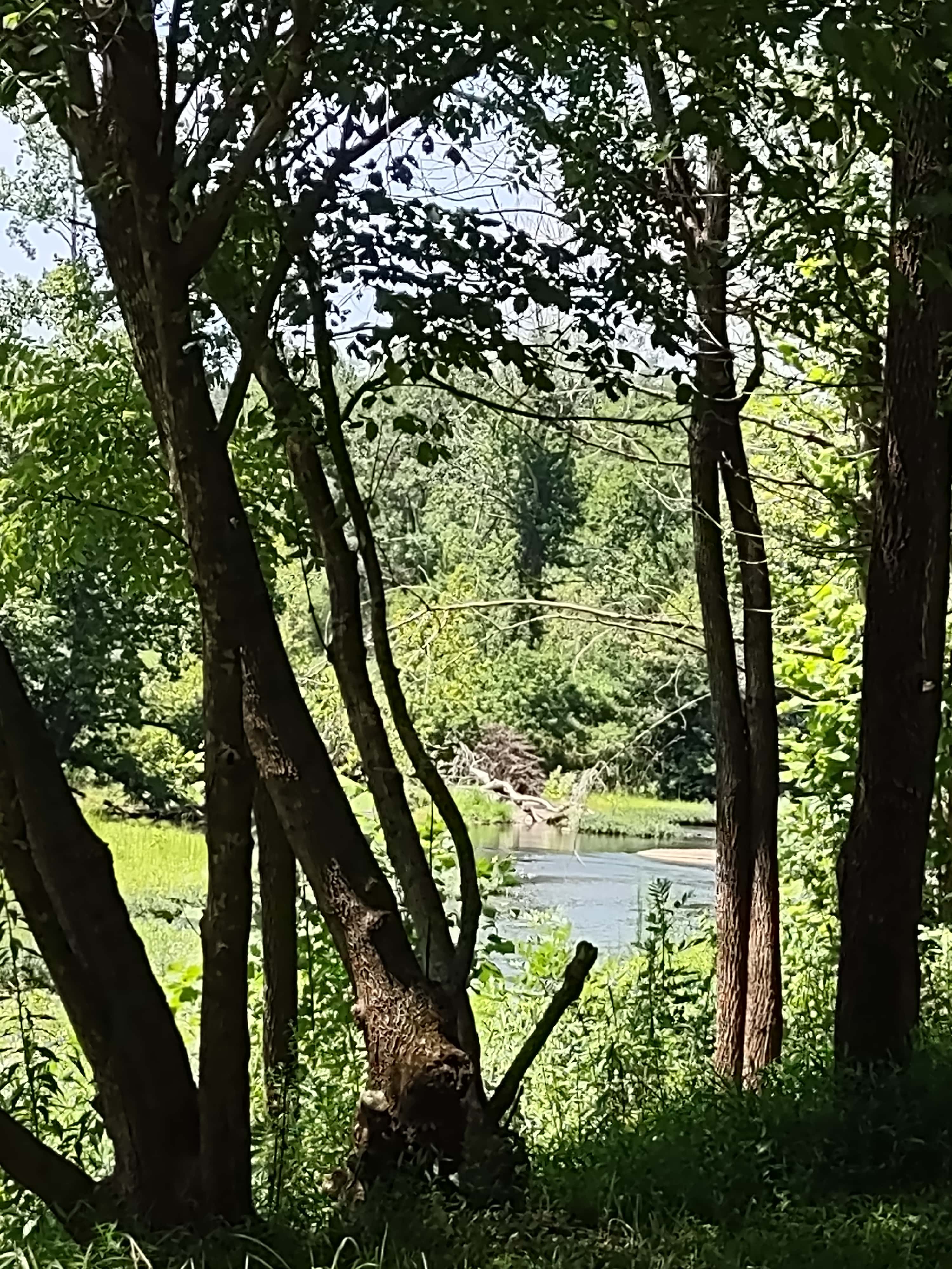 Rockfish River Landing