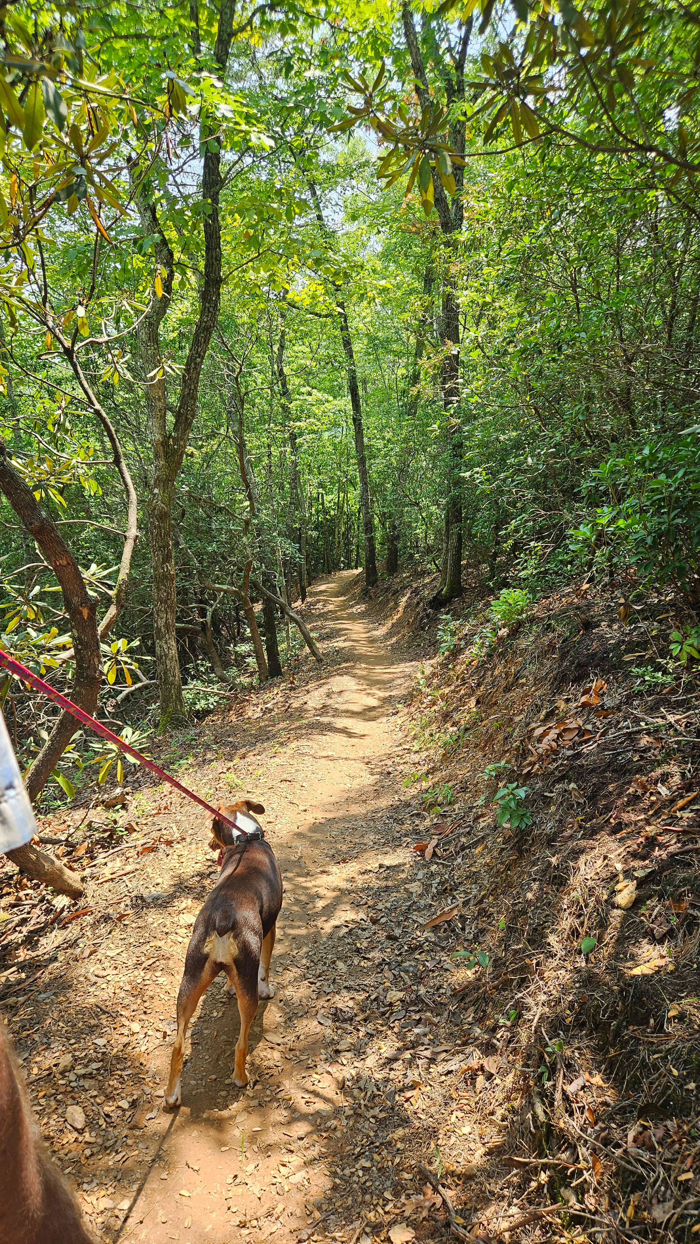 Nearby trail
