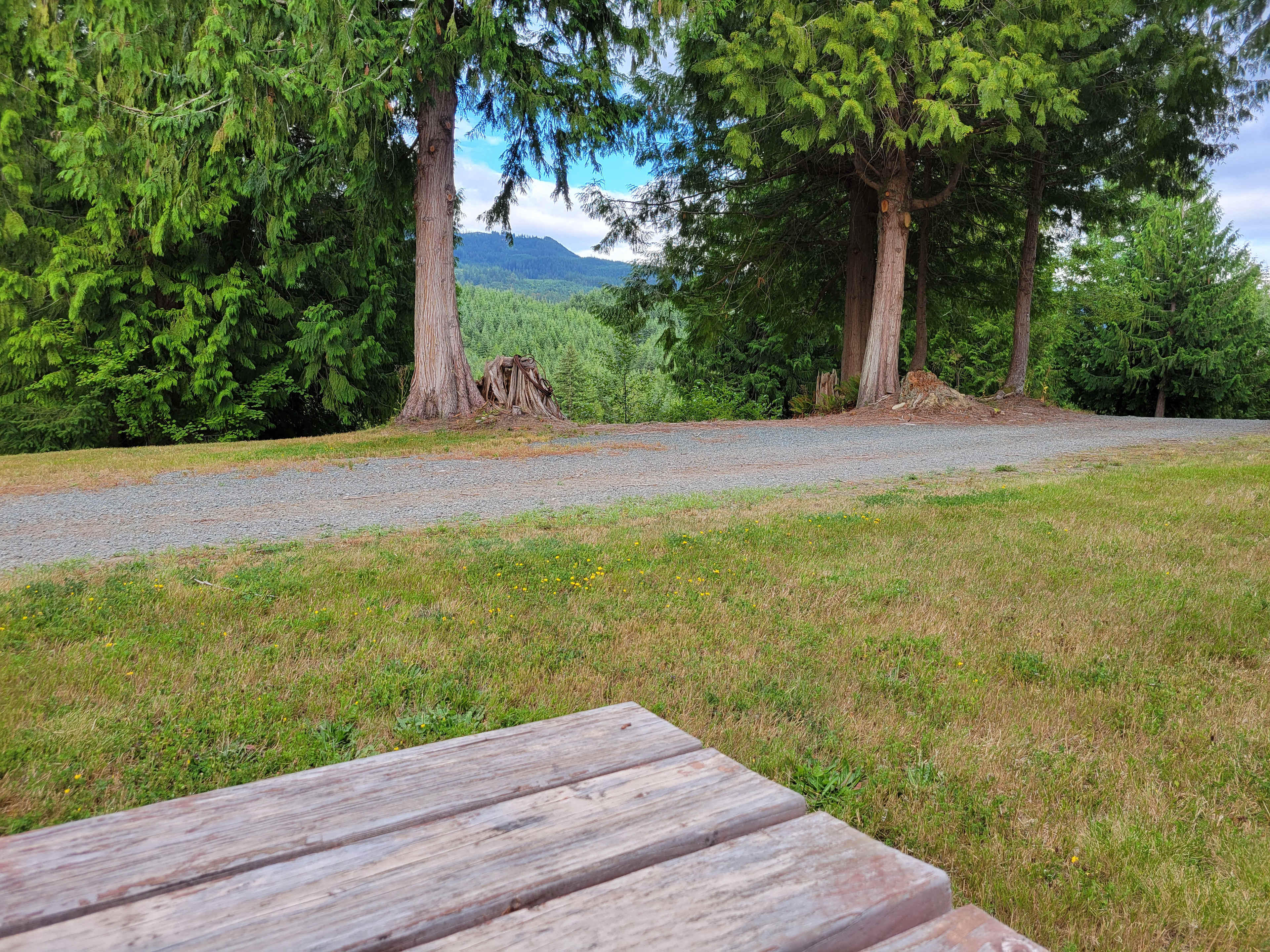 Picture of the site