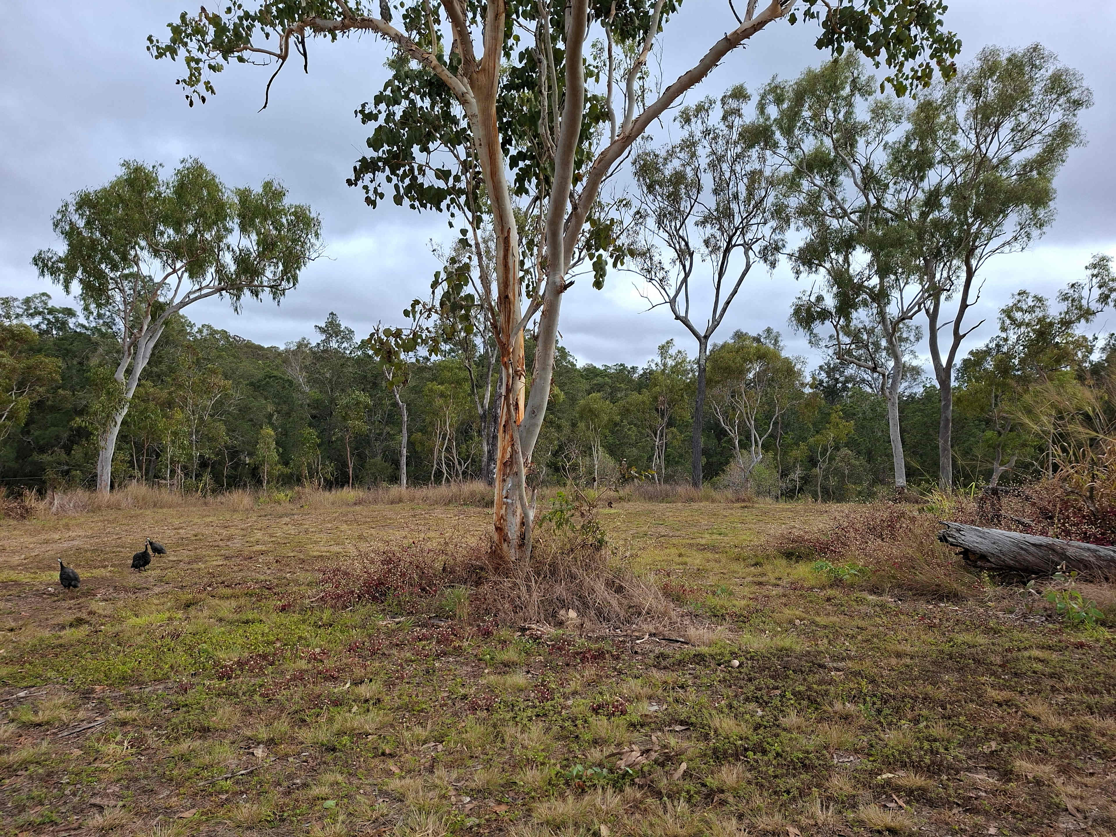 Surrounded by nature