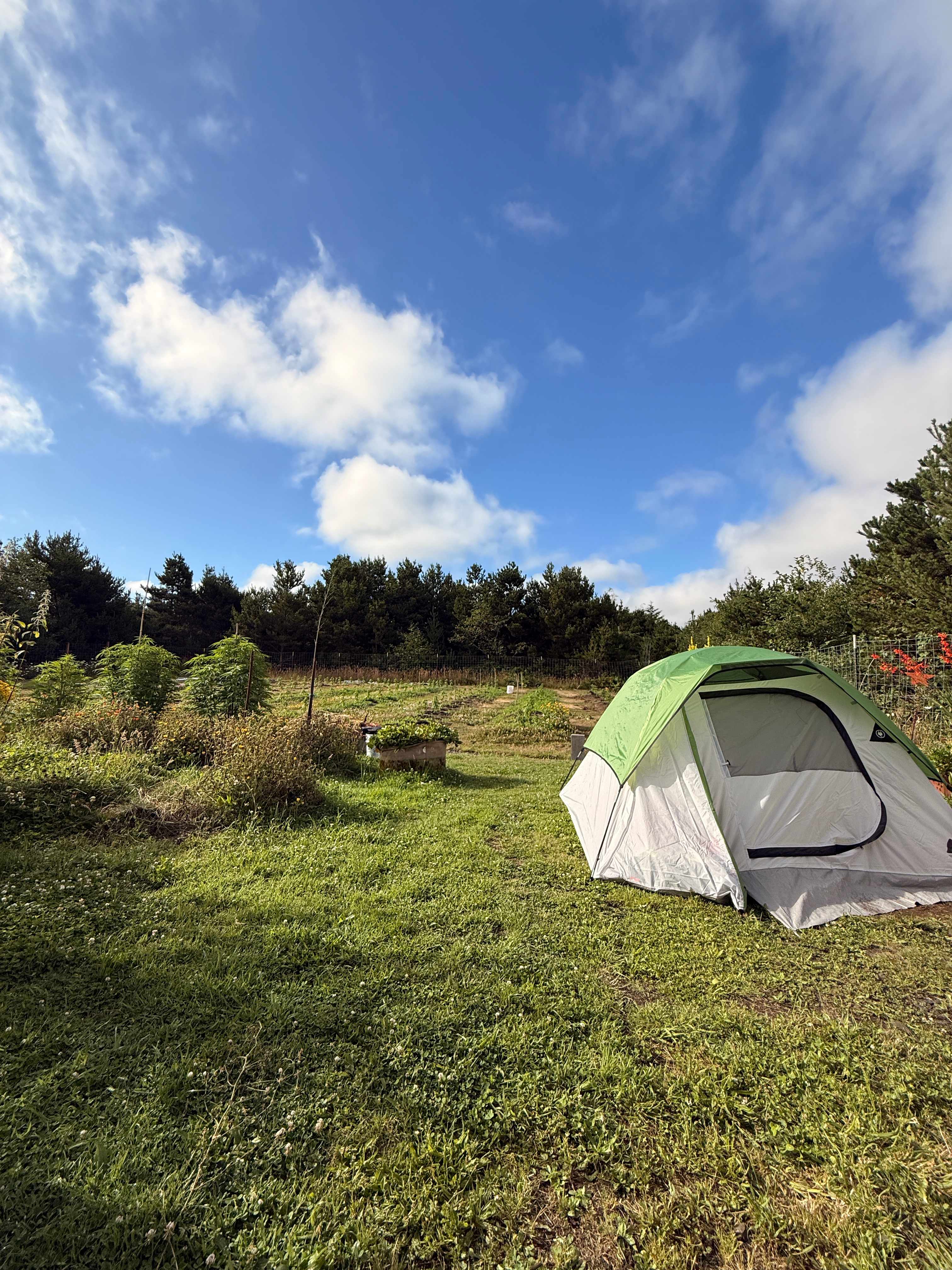 Coastal Farm Sanctuary