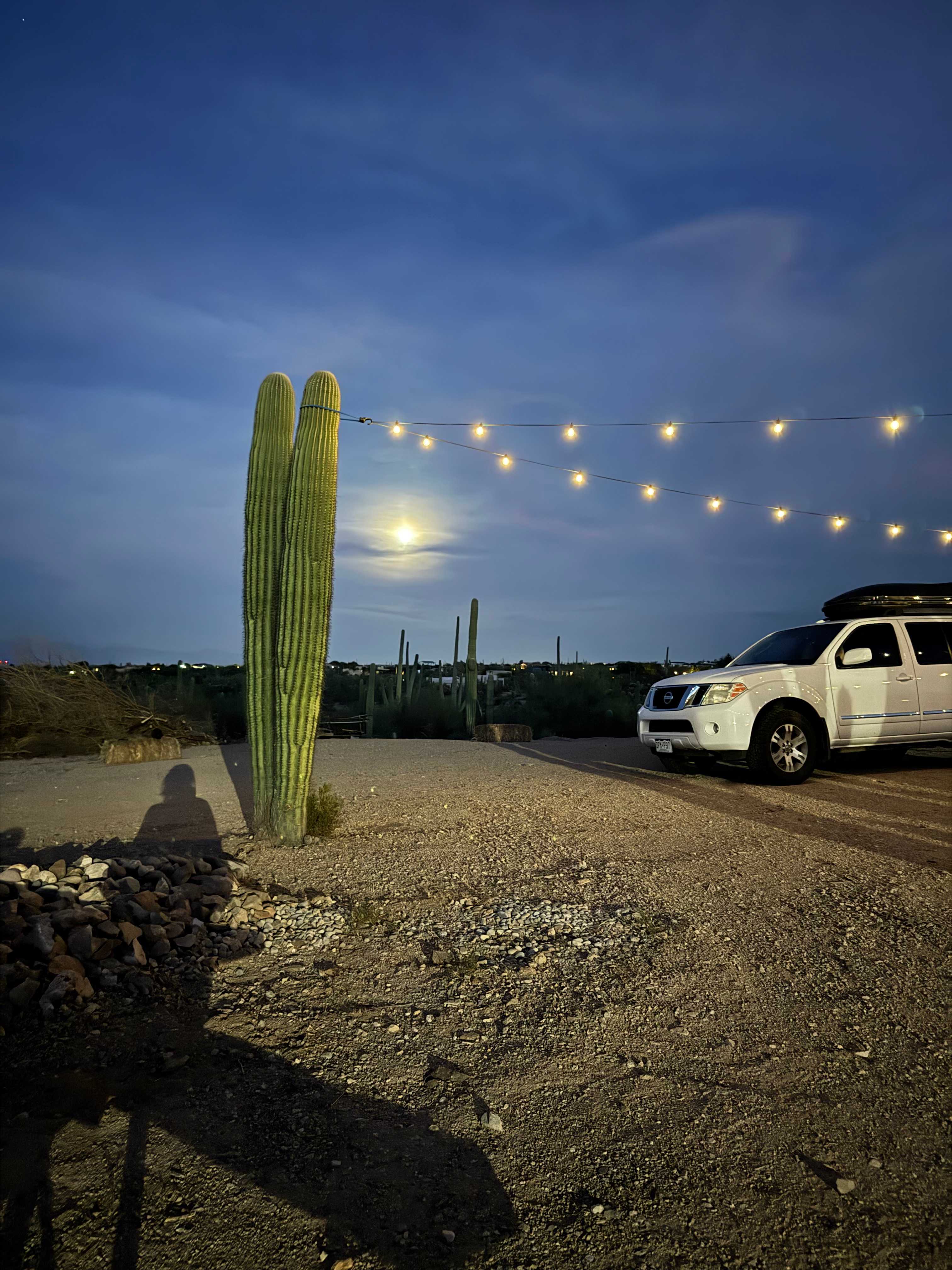 Saguaro  Sky Ranch