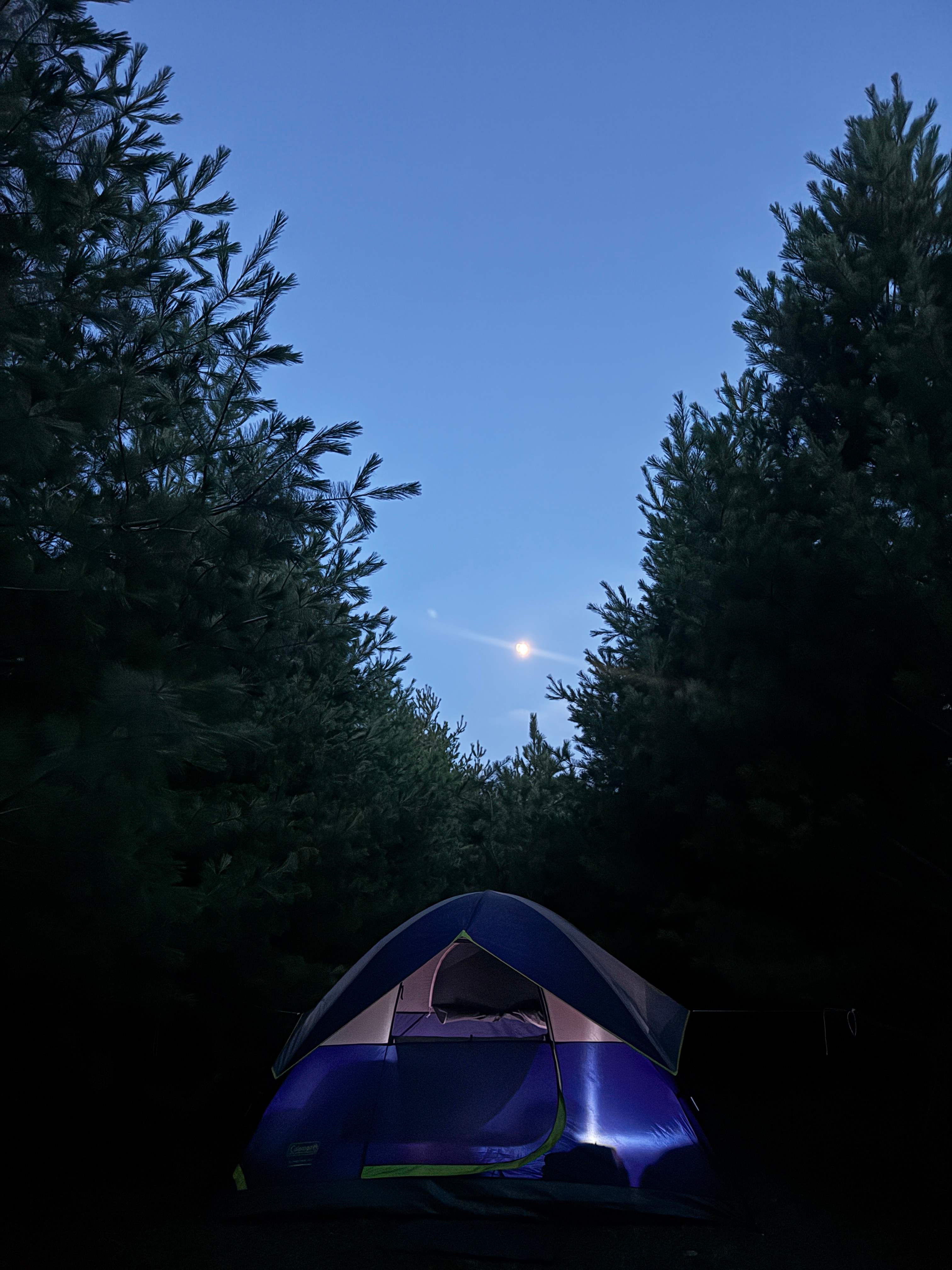 CAMP Door County