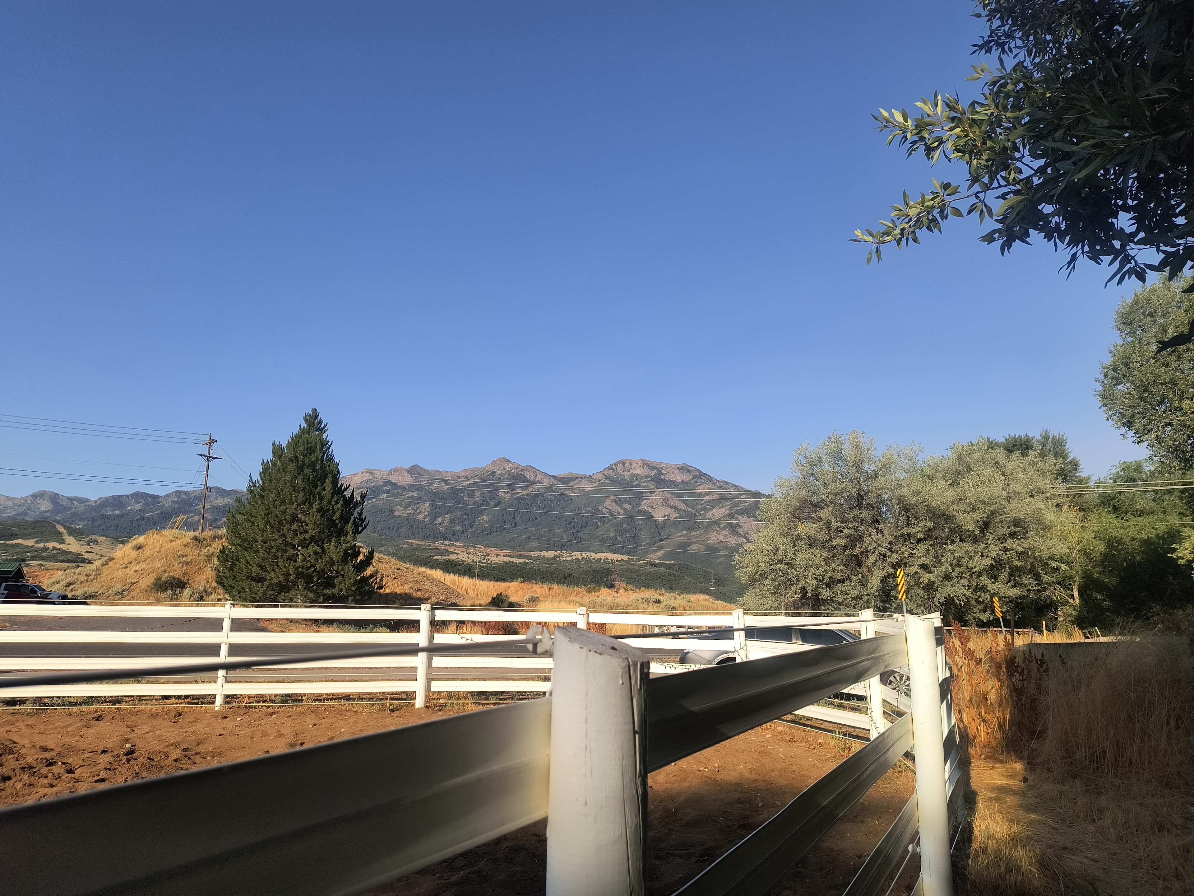 Second Chance Ranch