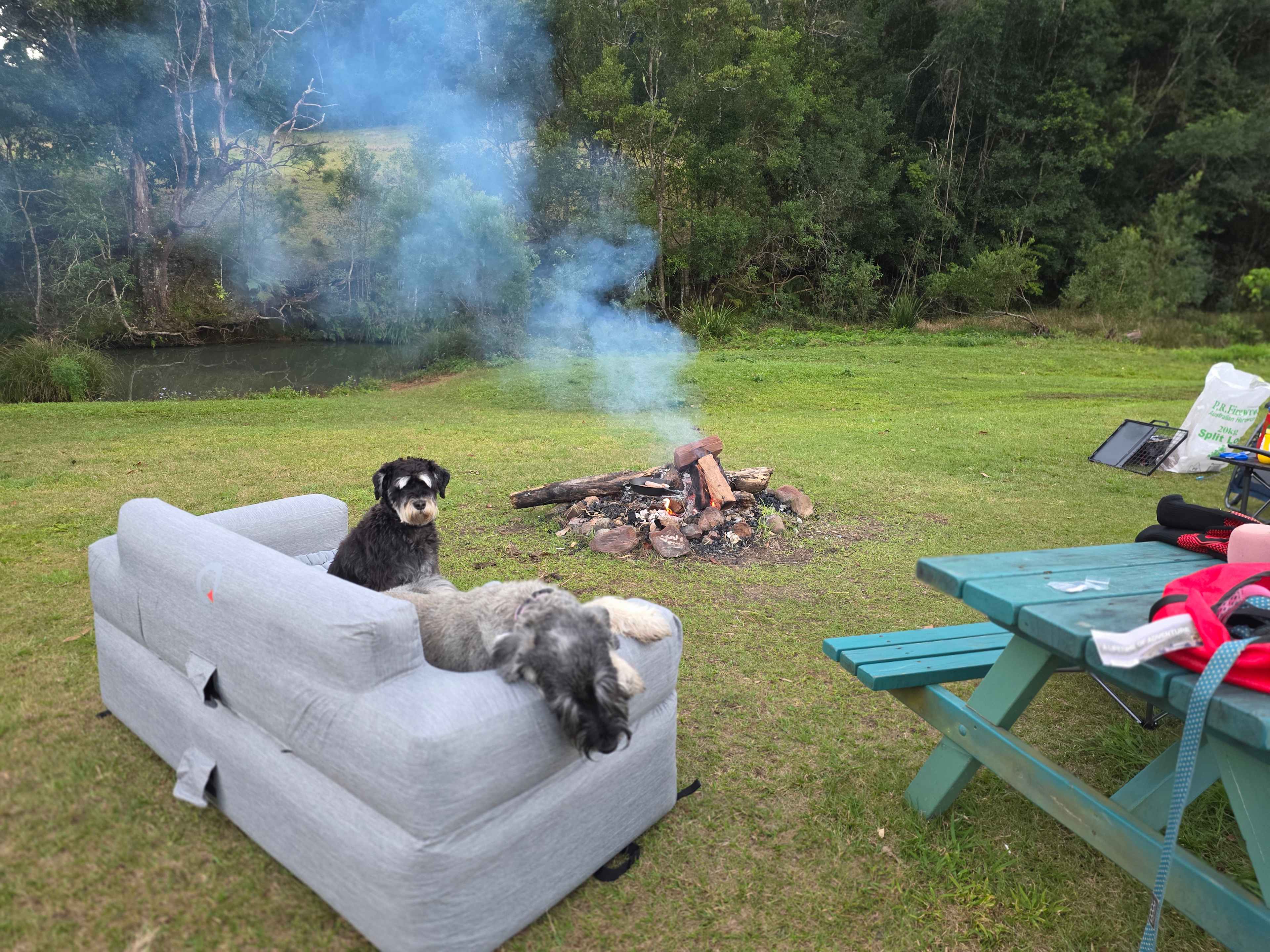 Rowlands Creek Camp Area